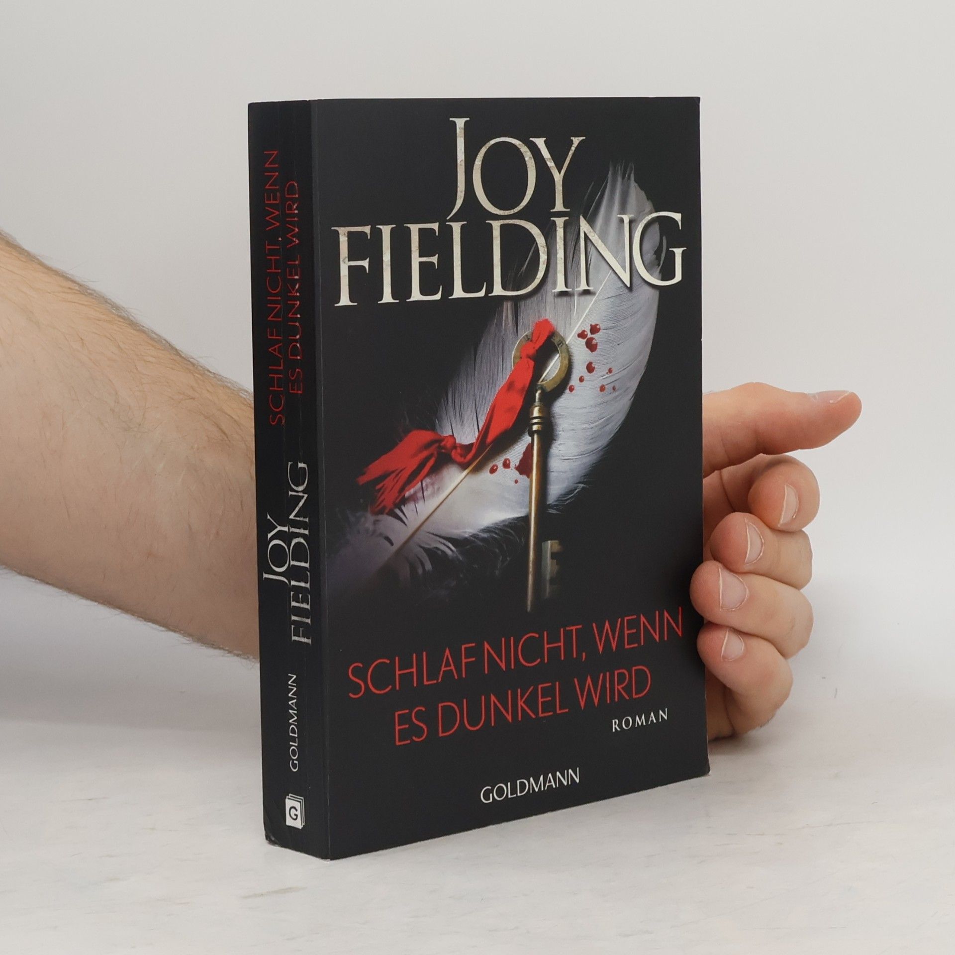 Joy Fielding Schlaf nicht, wenn es dunkel wird