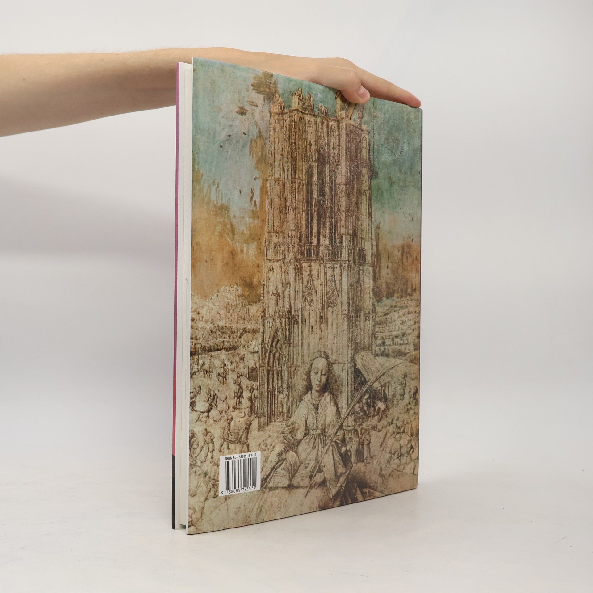Charlotte Behringer Katedrály. Sto architektonických klenotů Západu
