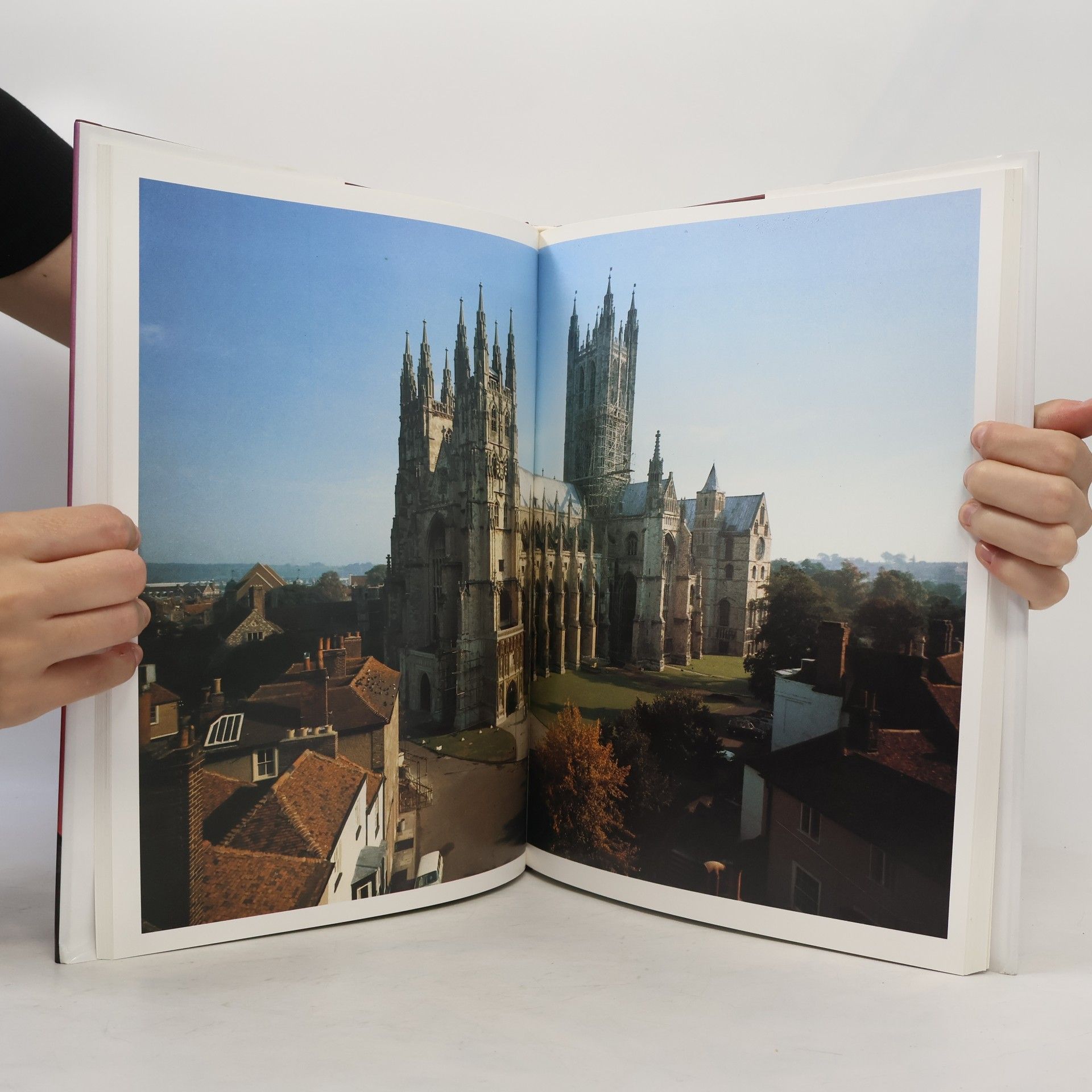 Charlotte Behringer Katedrály. Sto architektonických klenotů Západu