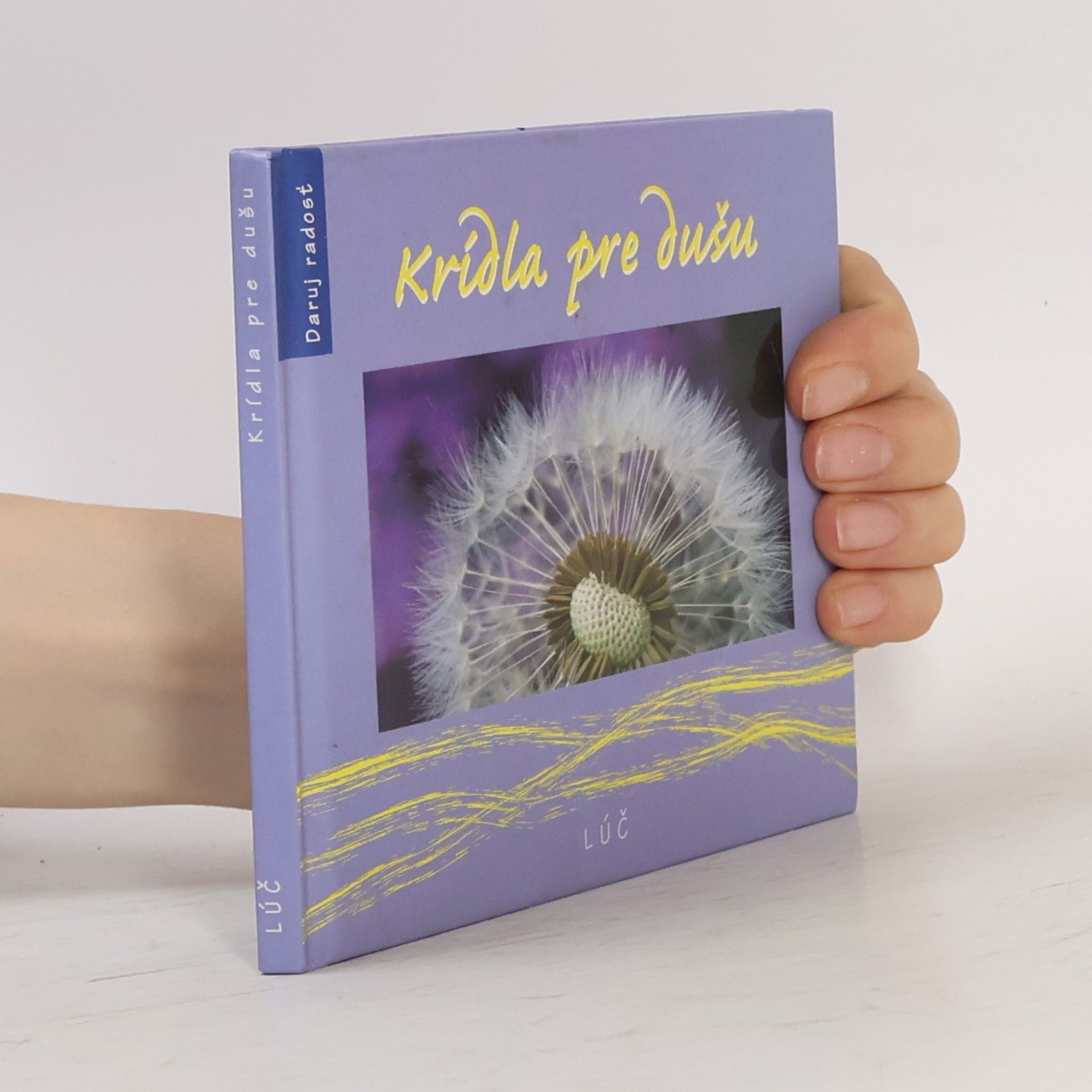 Helena Saišová Krídla pre dušu