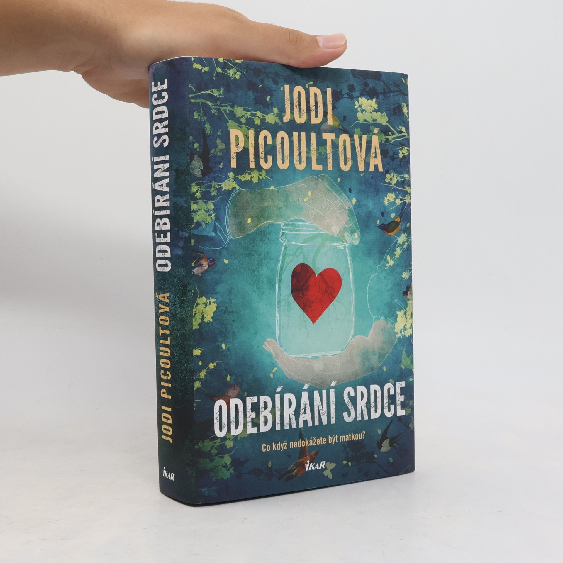 Jodi Picoult Odebírání srdce
