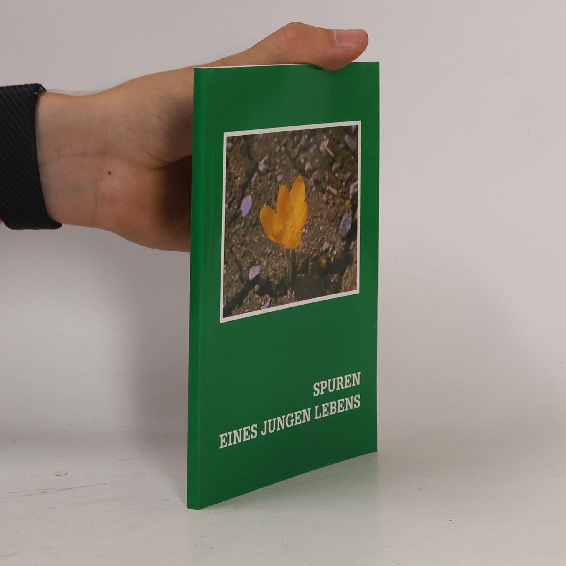 Autorenkollektiv Spuren eines jungen Lebens
