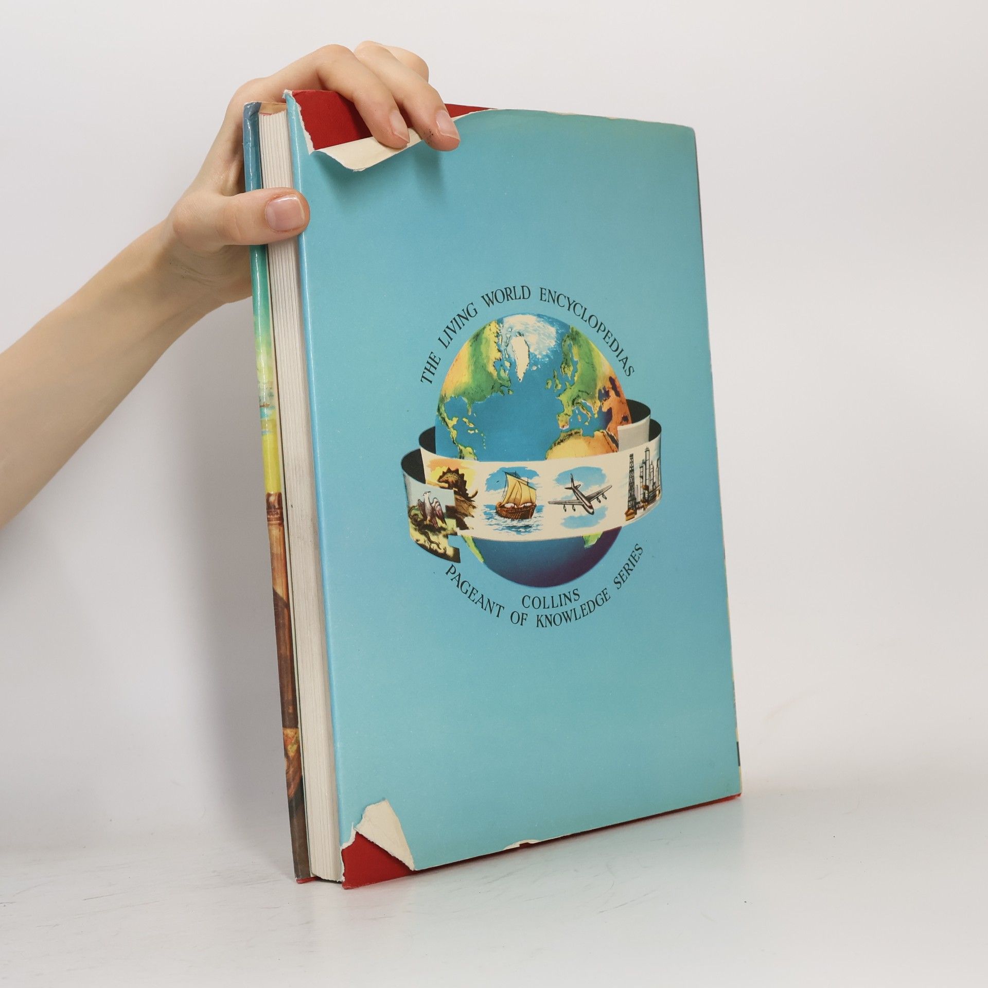 Collectif d'auteurs The Living World of Knowledge in Colour