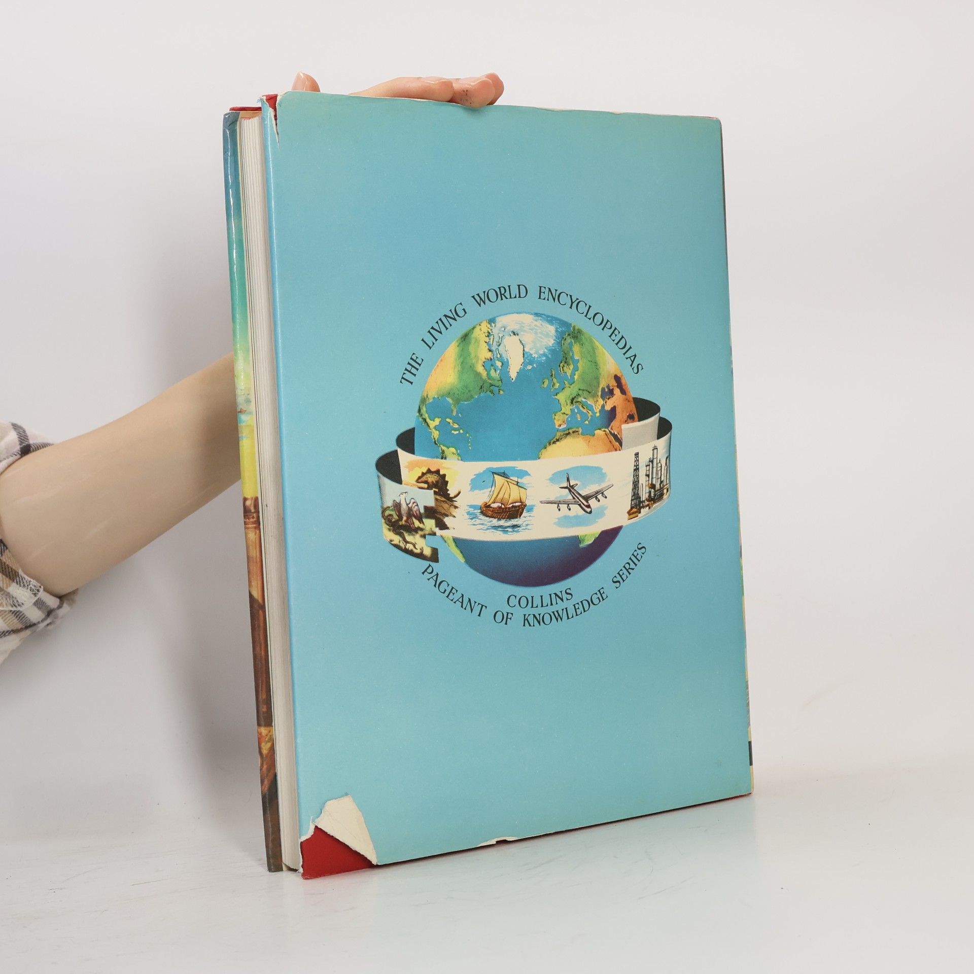 Collectif d'auteurs The Living World of Knowledge in Colour