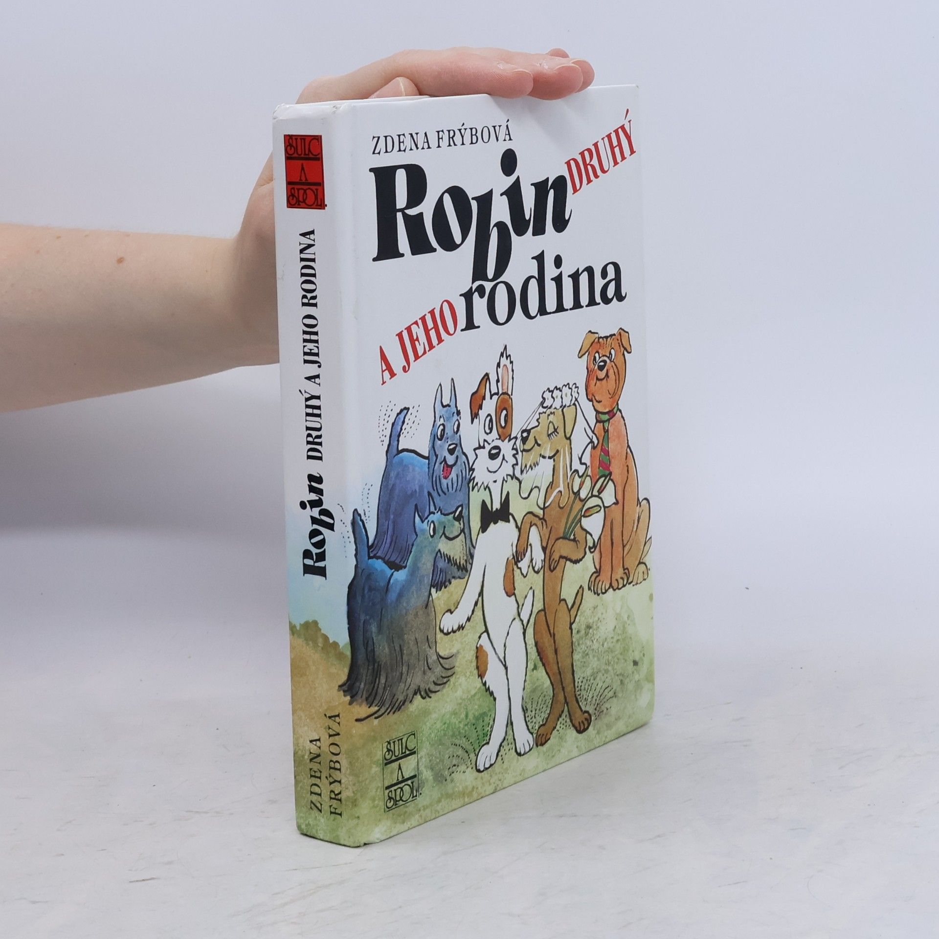 Zdena Frýbová Robin Druhý a jeho rodina
