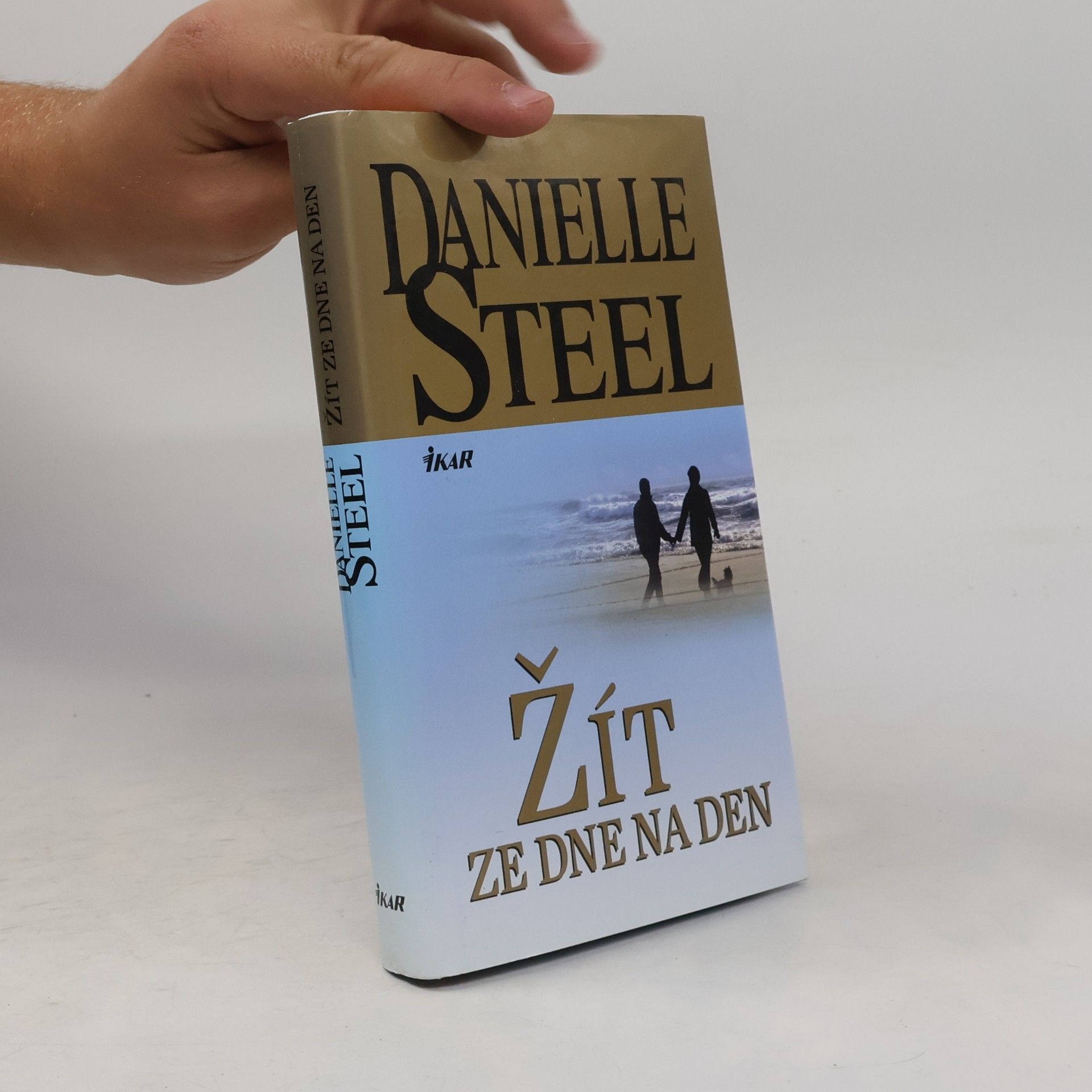 Danielle Steel Žít ze dne na den