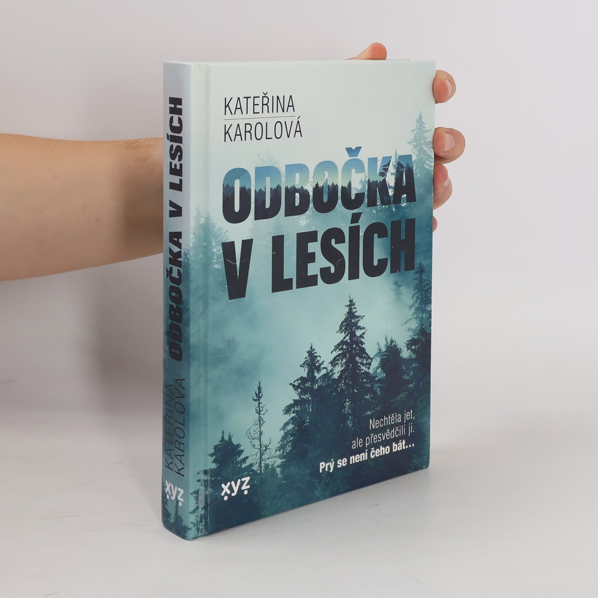 Kateřina Karolová Odbočka v lesích
