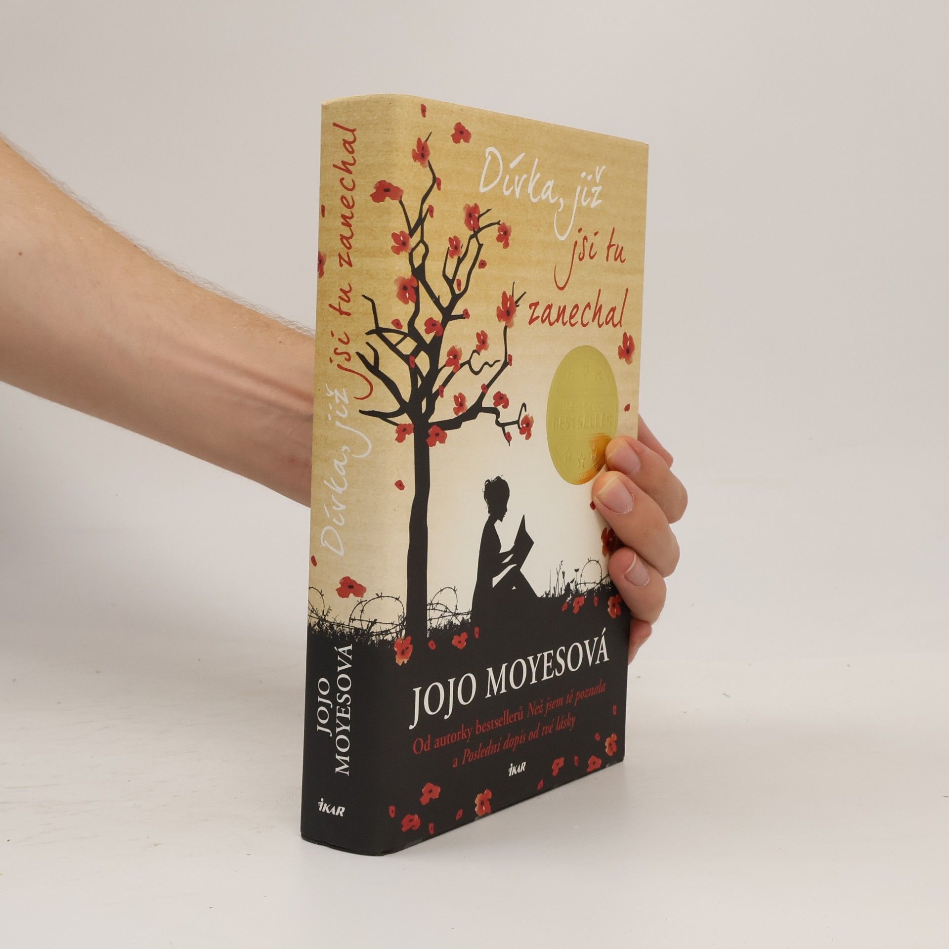 Jojo Moyes Dívka, již jsi tu zanechal