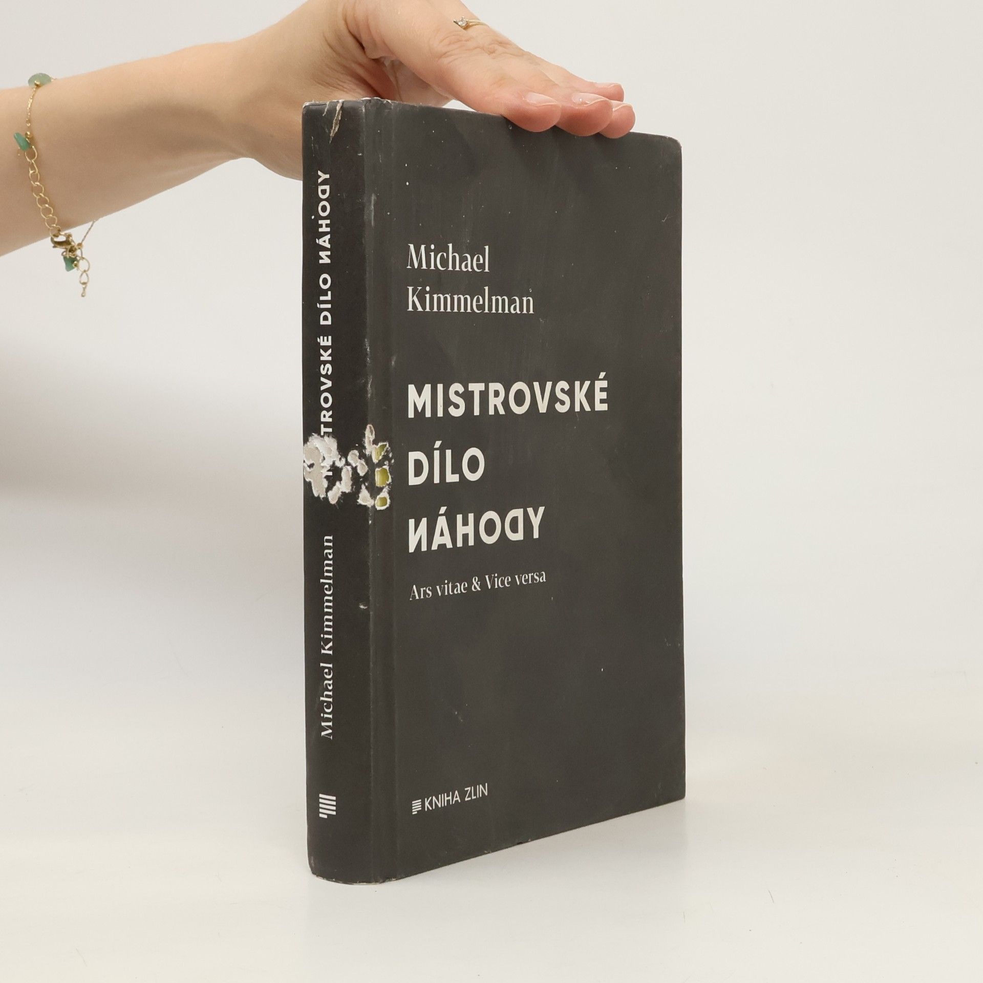Michael Kimmelman Mistrovské dílo náhody : ars vitae & vice versa