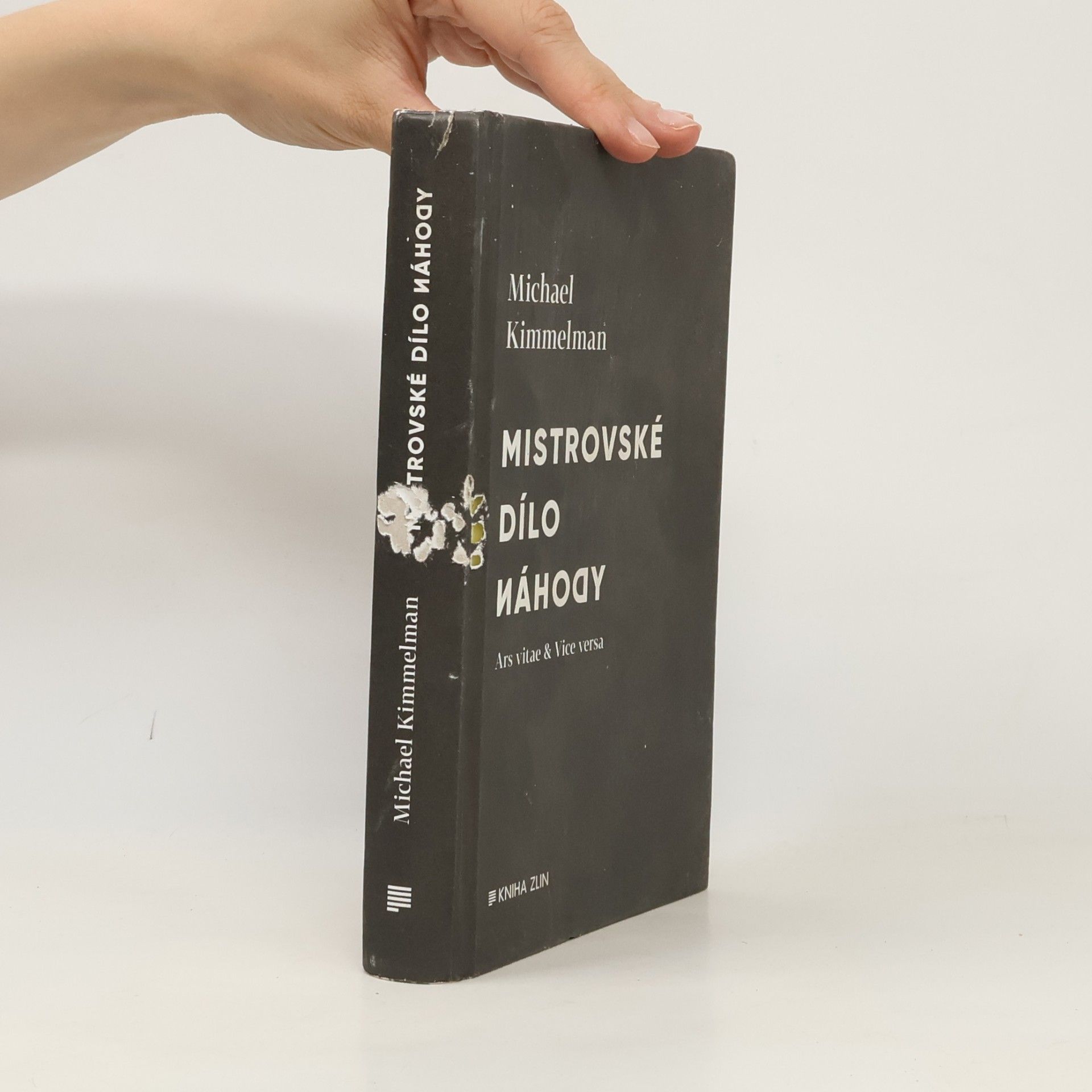Michael Kimmelman Mistrovské dílo náhody : ars vitae & vice versa