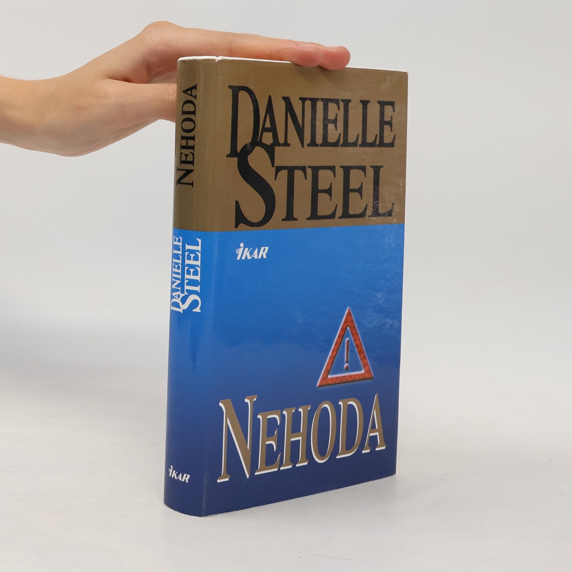 Danielle Steel Nehoda