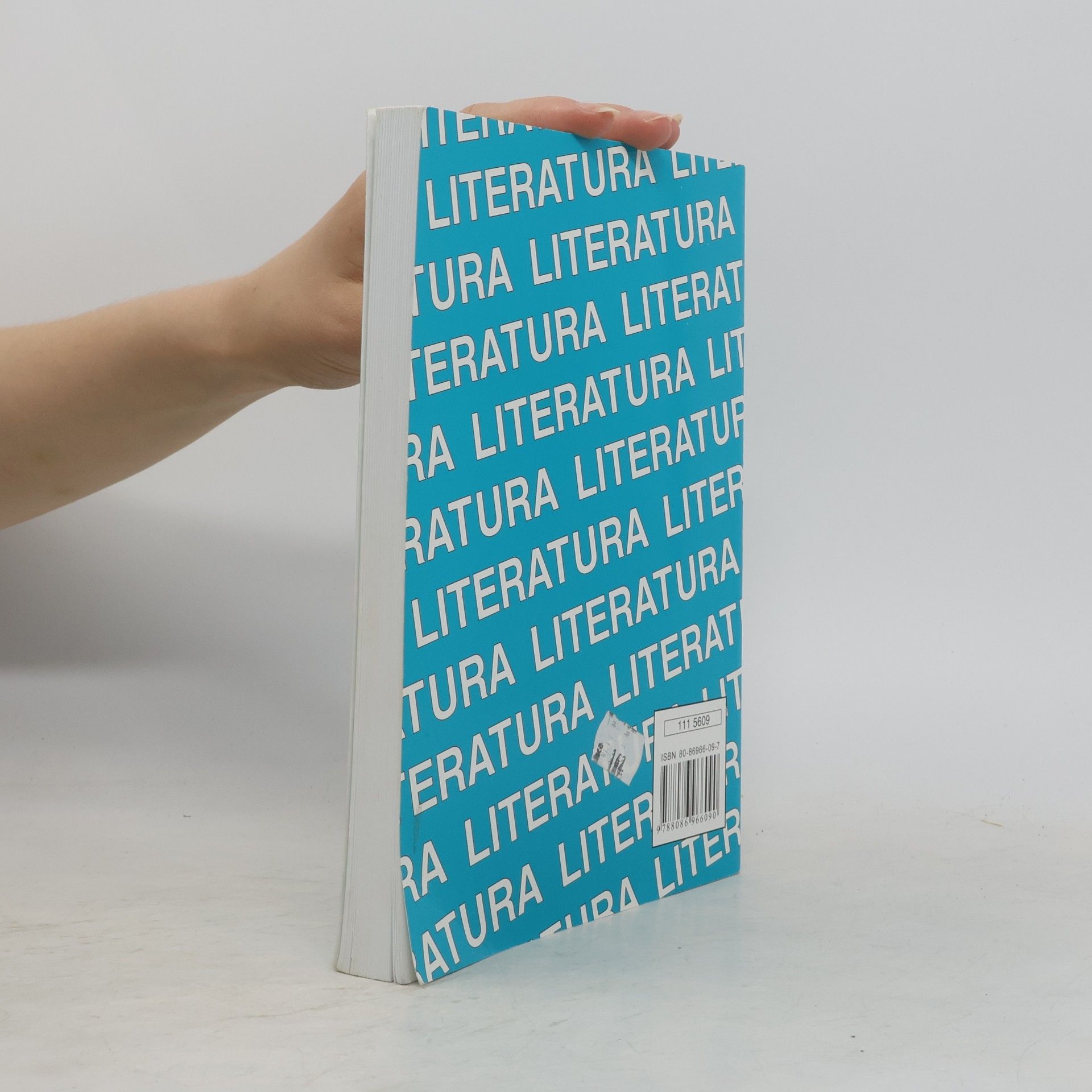 Michaela Soleiman pour Hashemi Literatura I. Výbor textů, interpretace, literární teorie