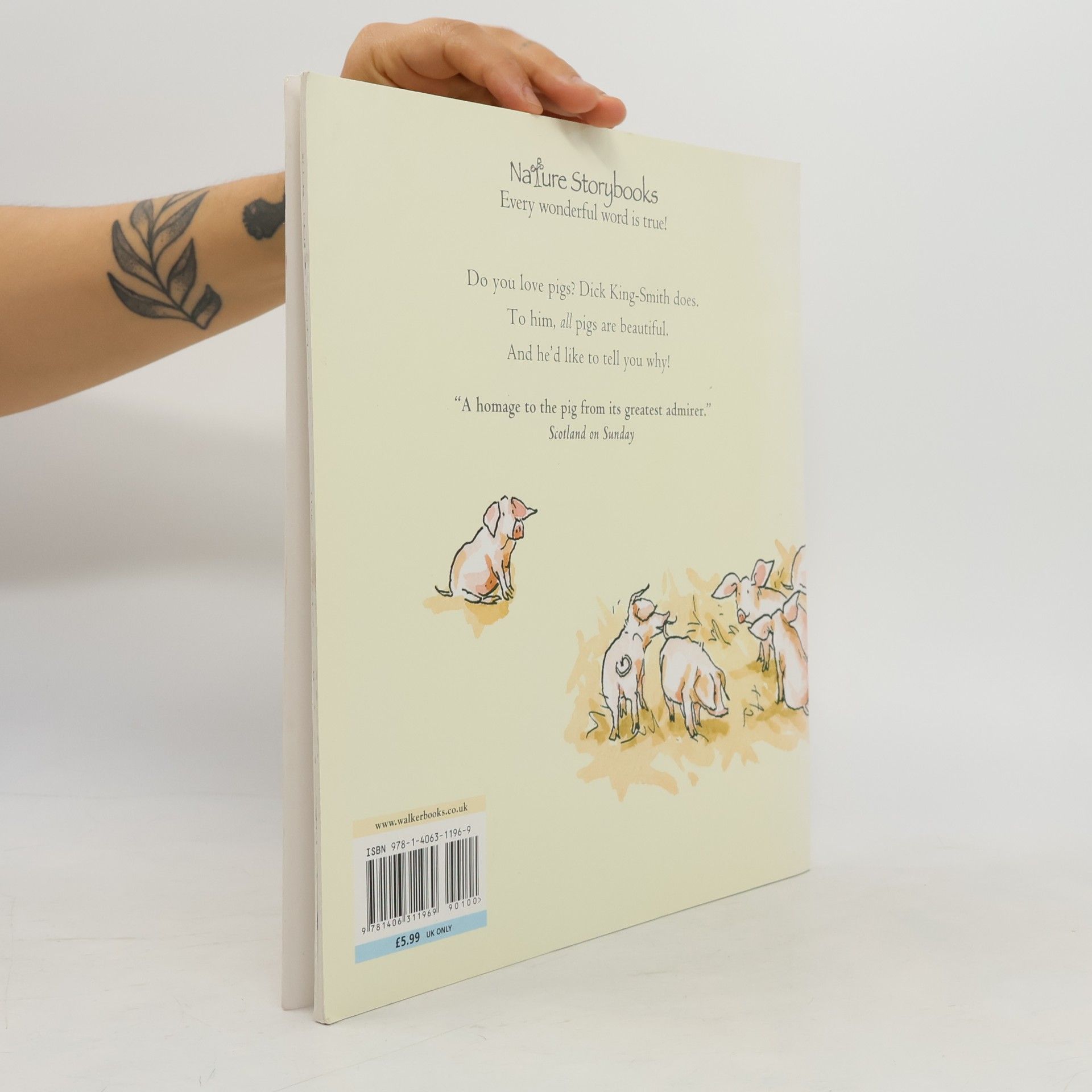 Anita Jeram All Pigs Are Beautiful