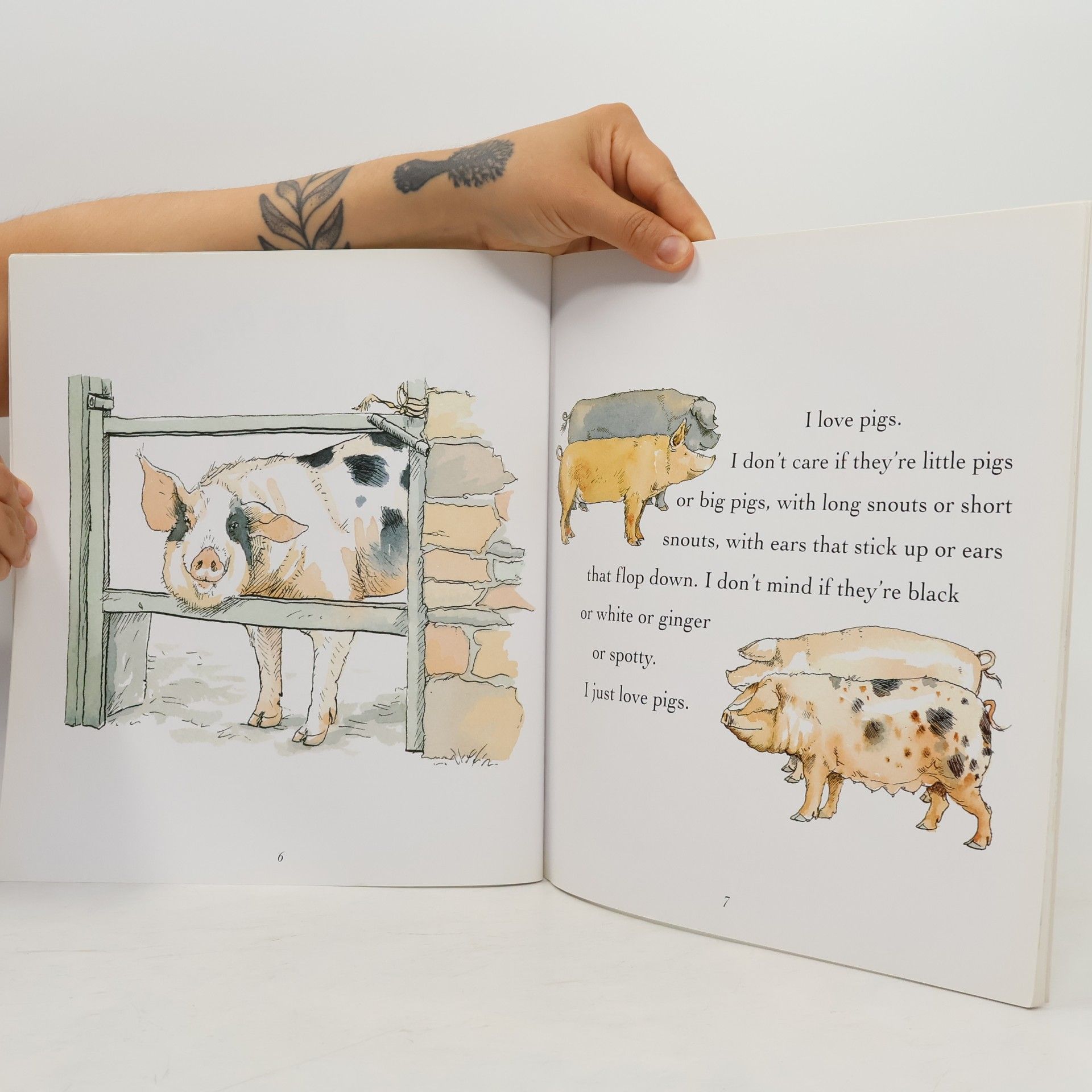 Anita Jeram All Pigs Are Beautiful