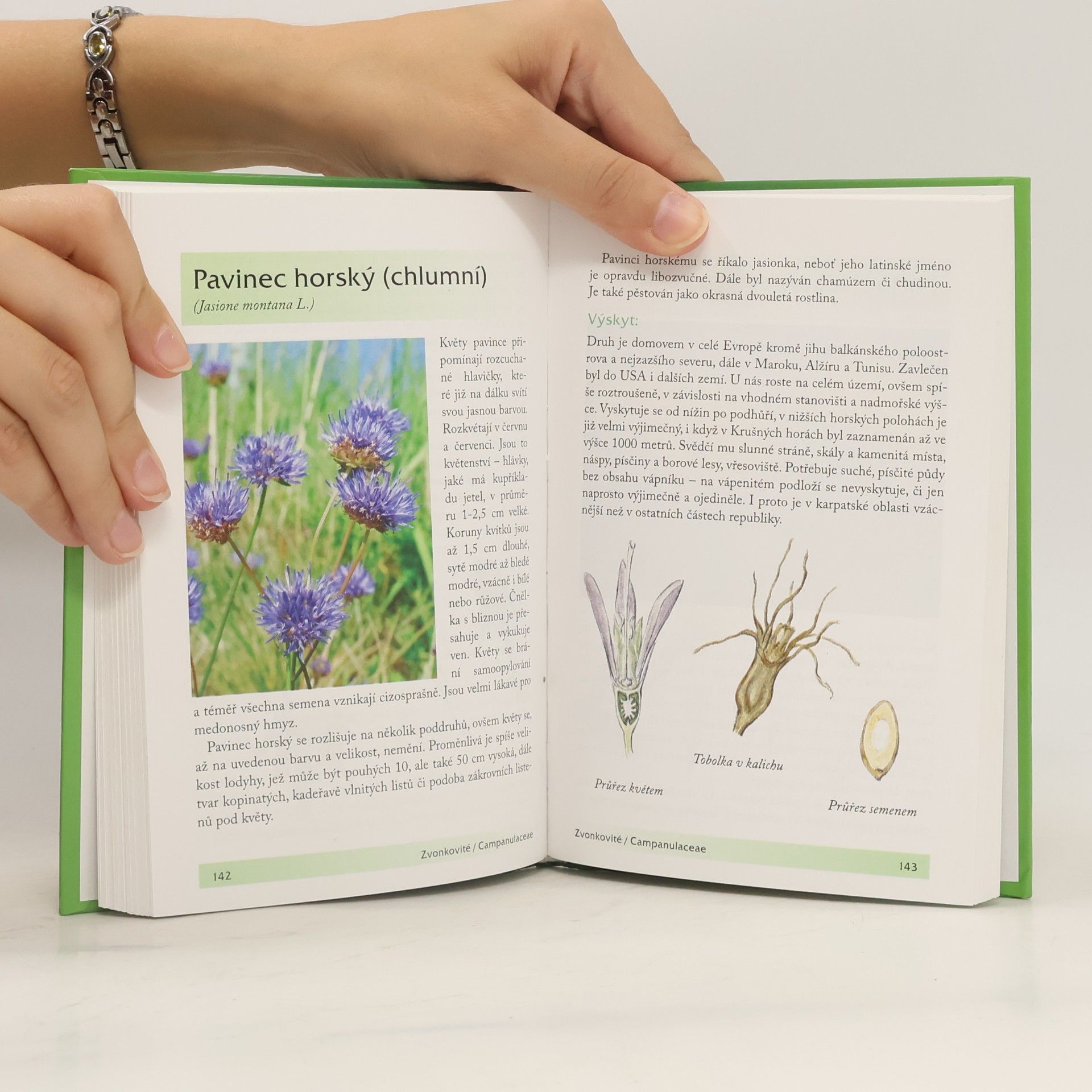 Jana Martinková Rostliny. Toulky českou přírodou. Kapesní atlas