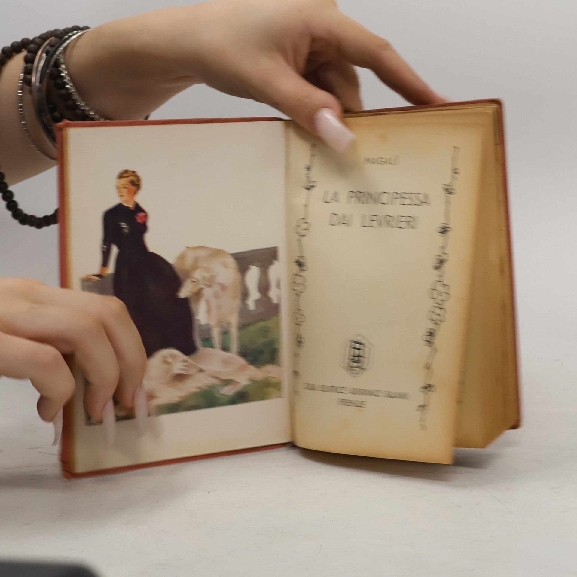 Collectif d'auteurs La principessa dai levrieri