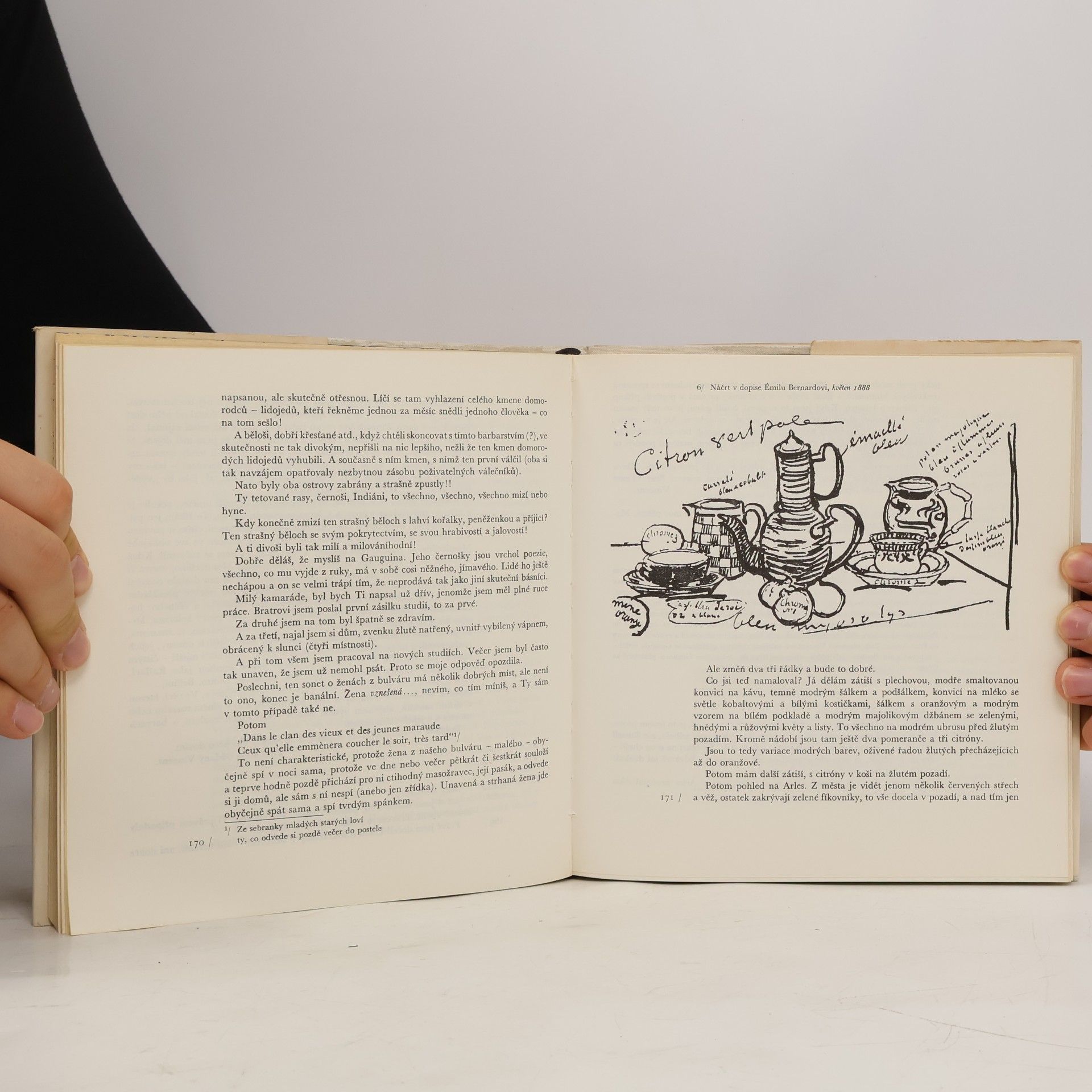 Vincent van Gogh Dopisy přátelům