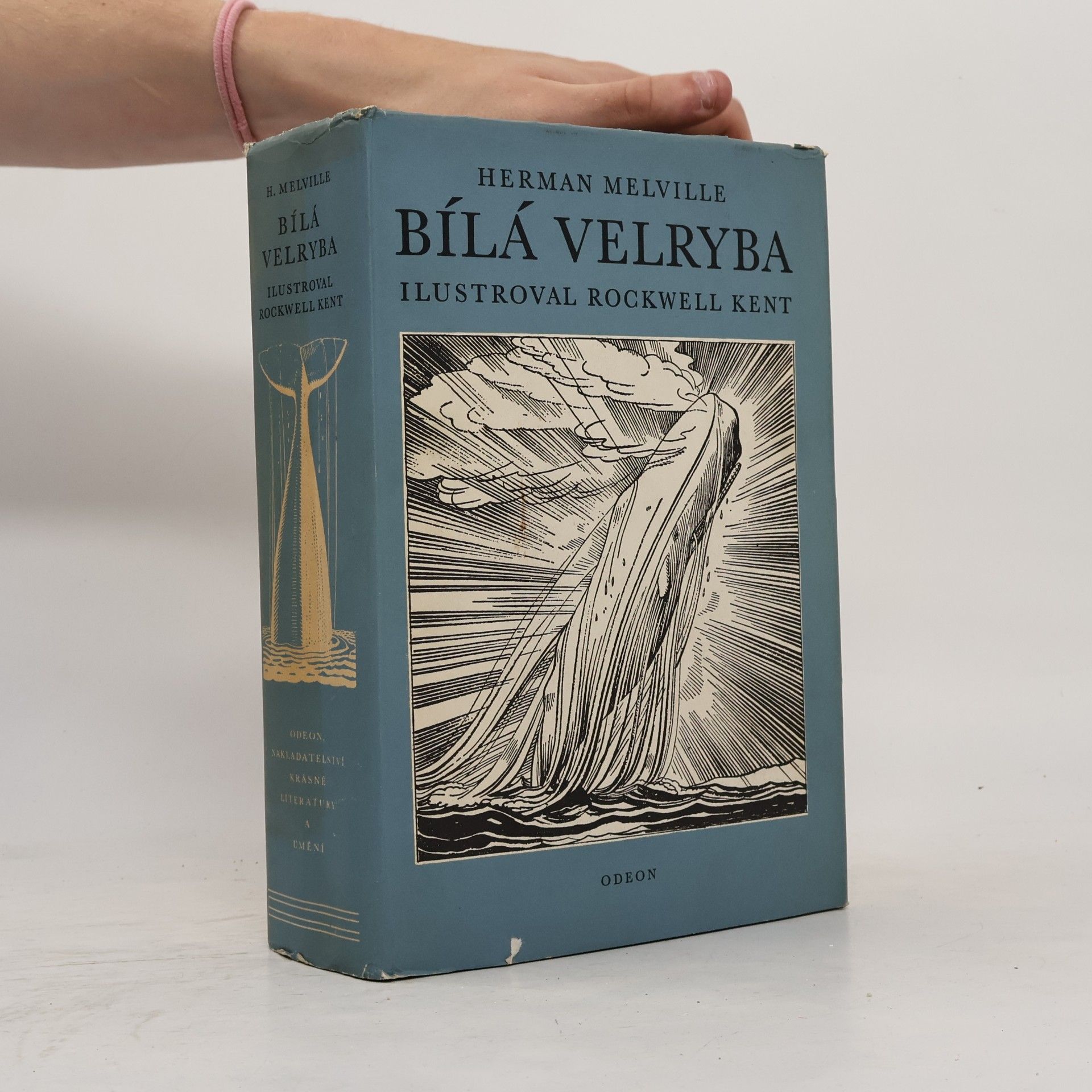 Herman Melville Bílá velryba