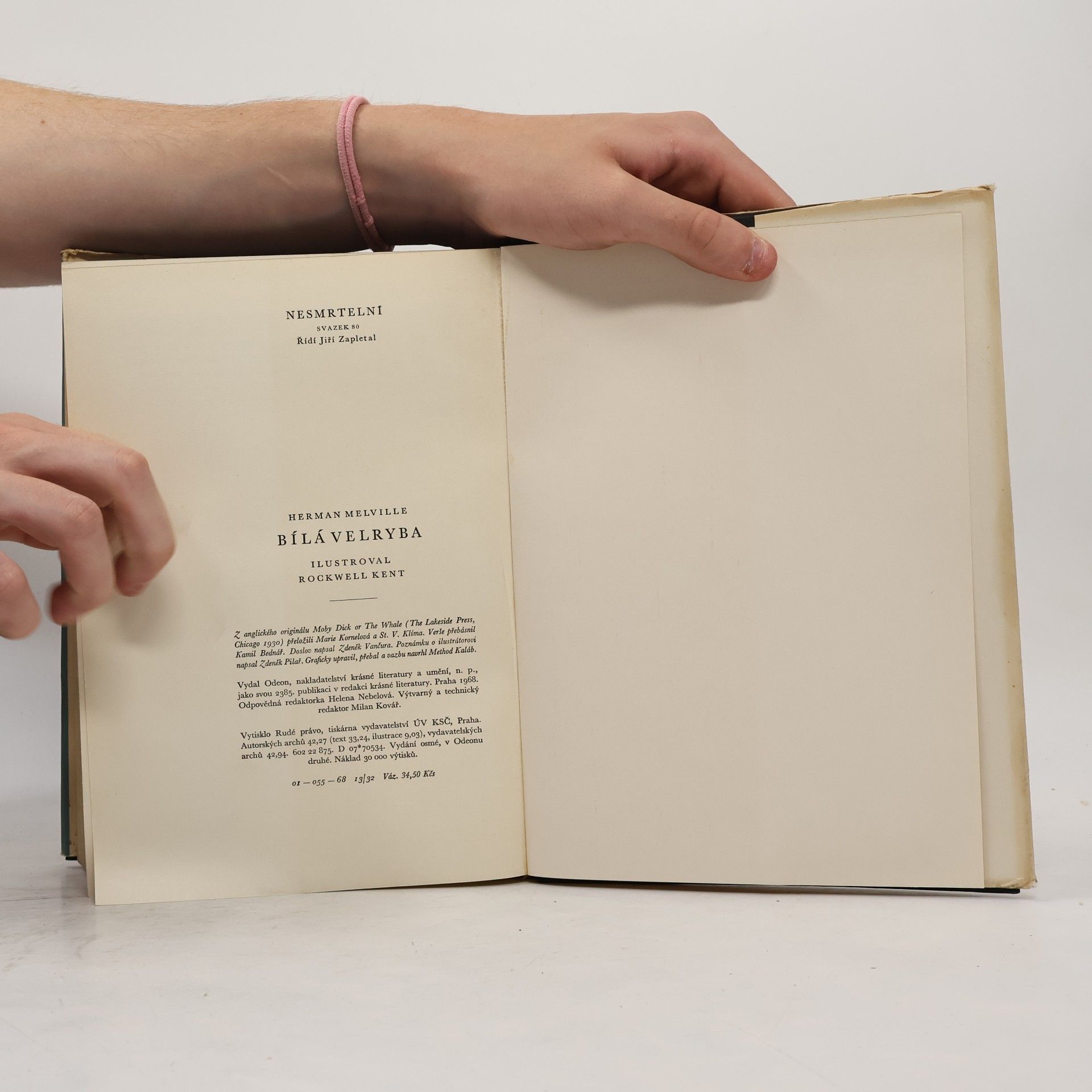 Herman Melville Bílá velryba