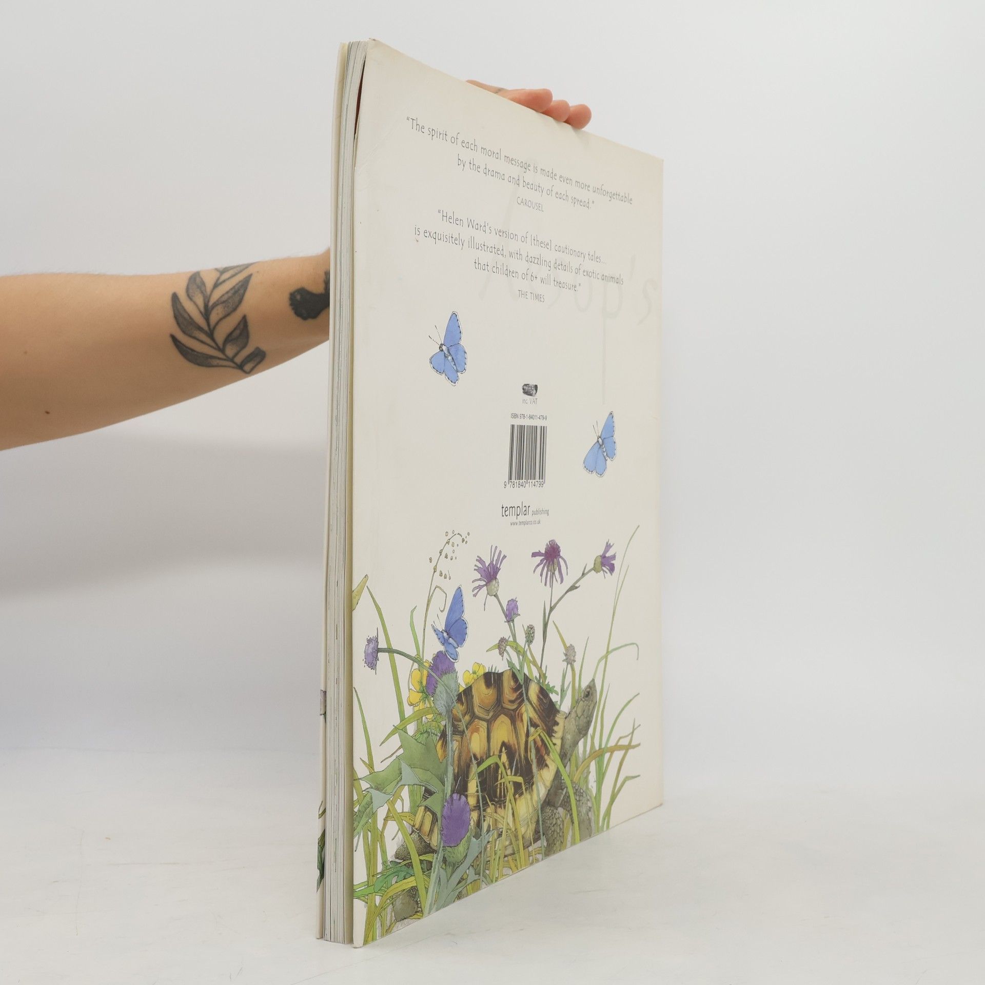 Helen Ward Aesop's Fables