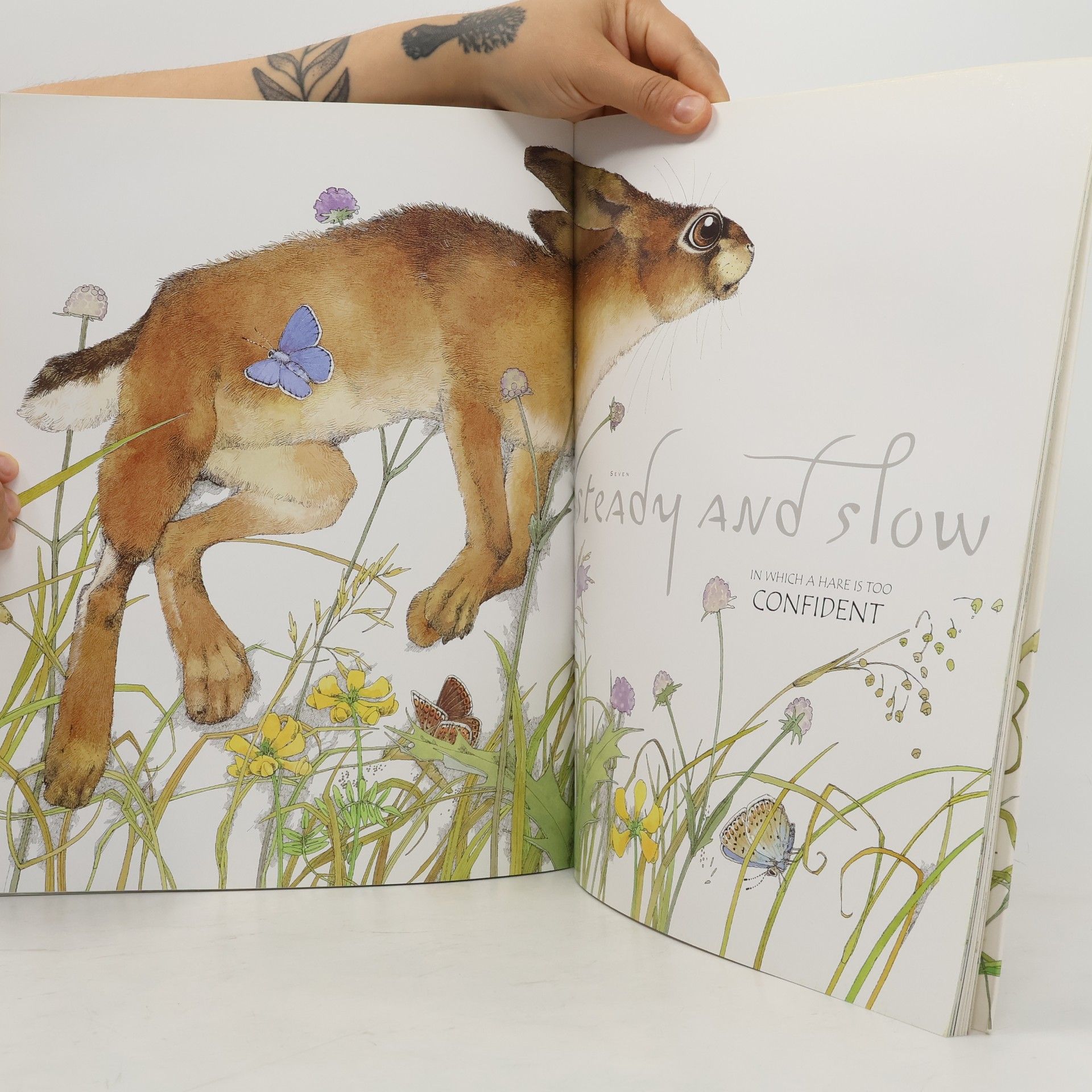Helen Ward Aesop's Fables