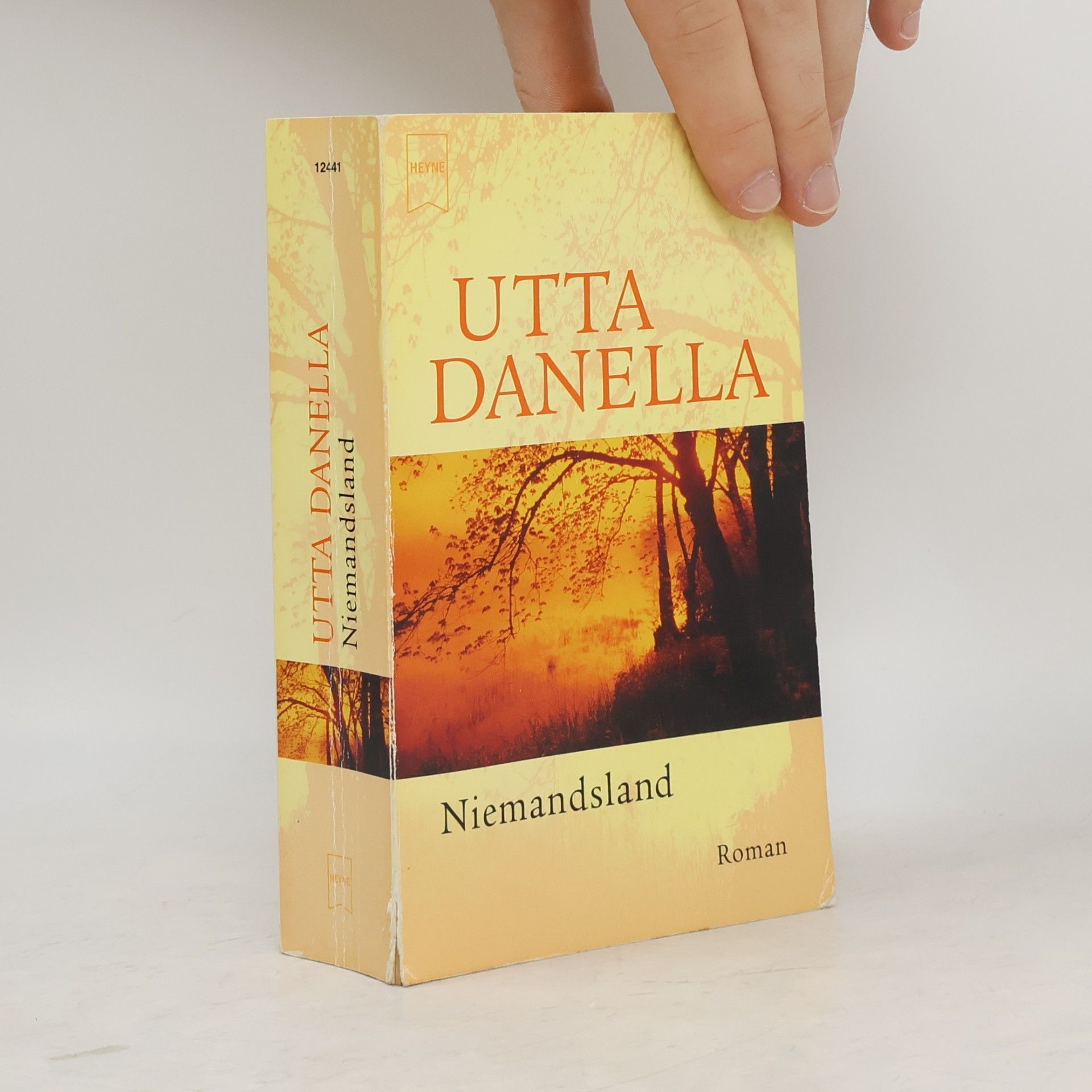 Utta Danella Niemandsland