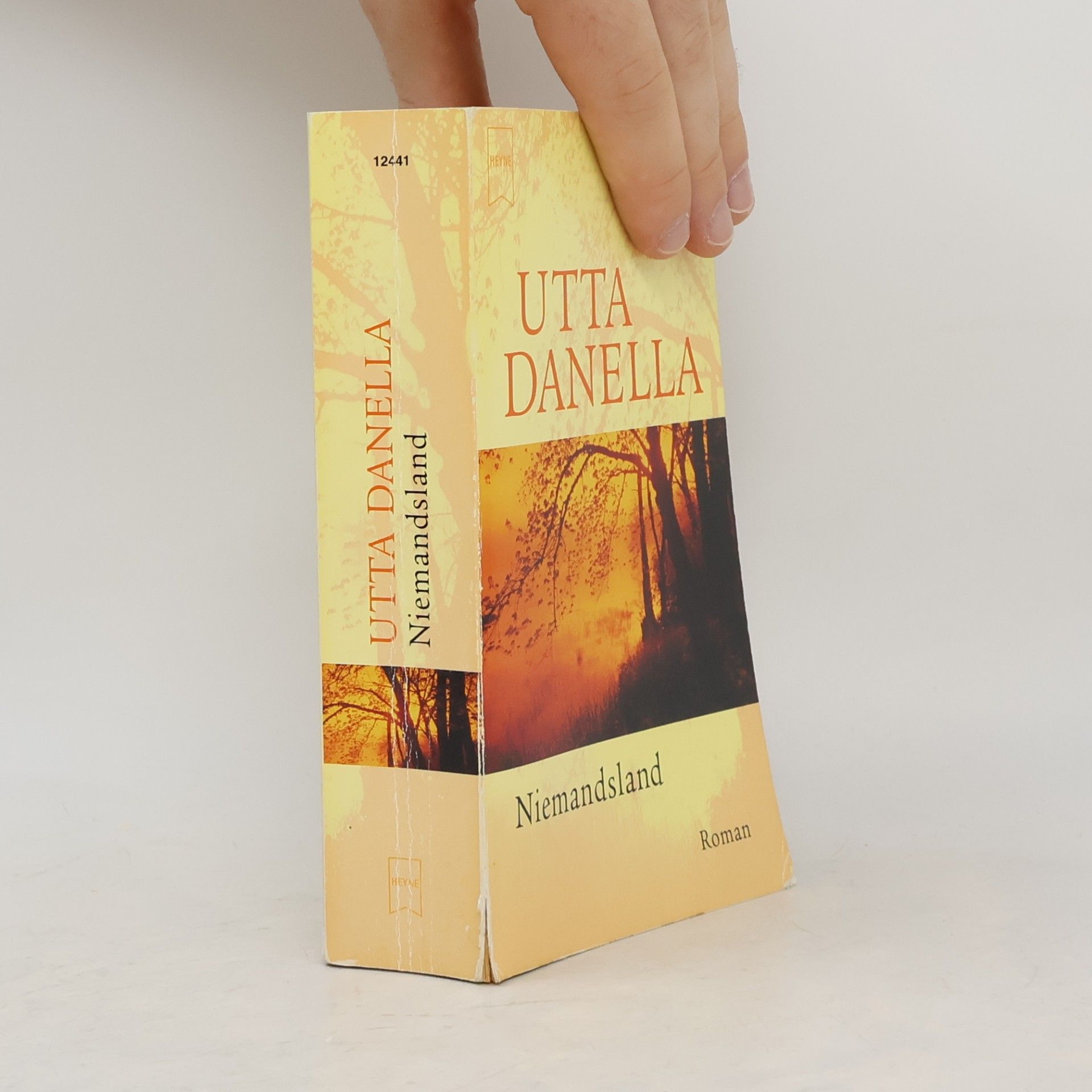 Utta Danella Niemandsland