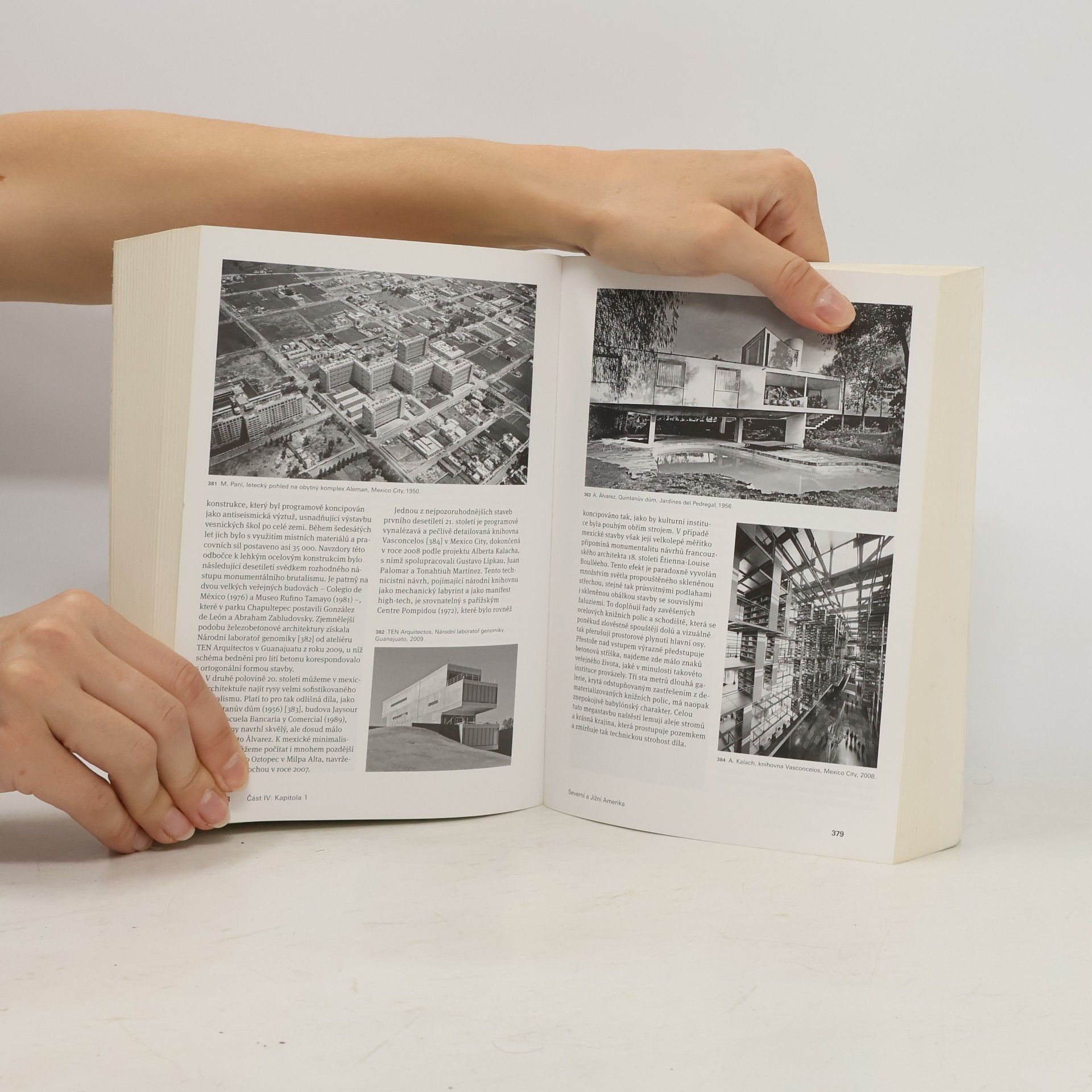 Kenneth Frampton Moderní architektura: Kritické dějiny