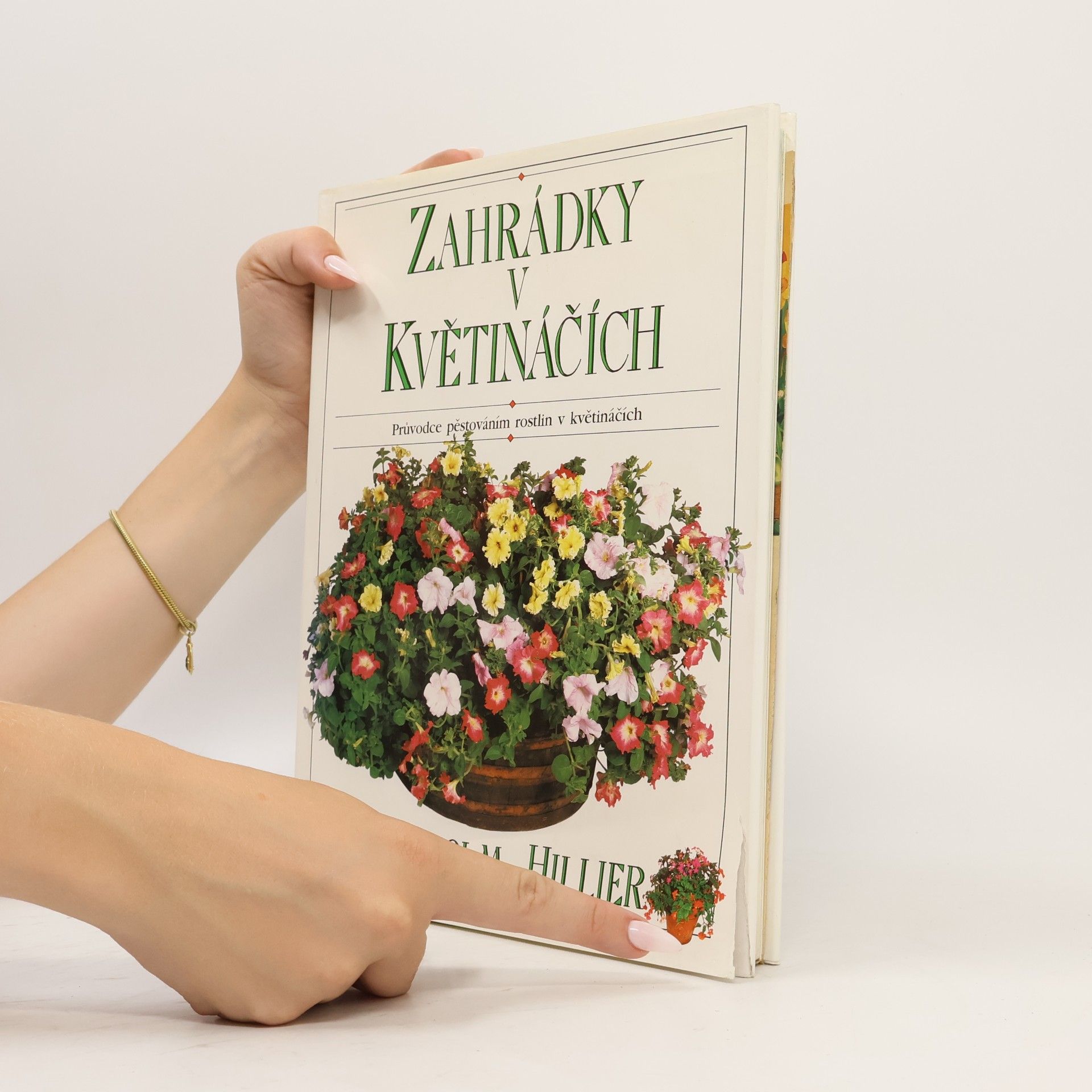 Malcolm Hillier Zahrádky v květináčích