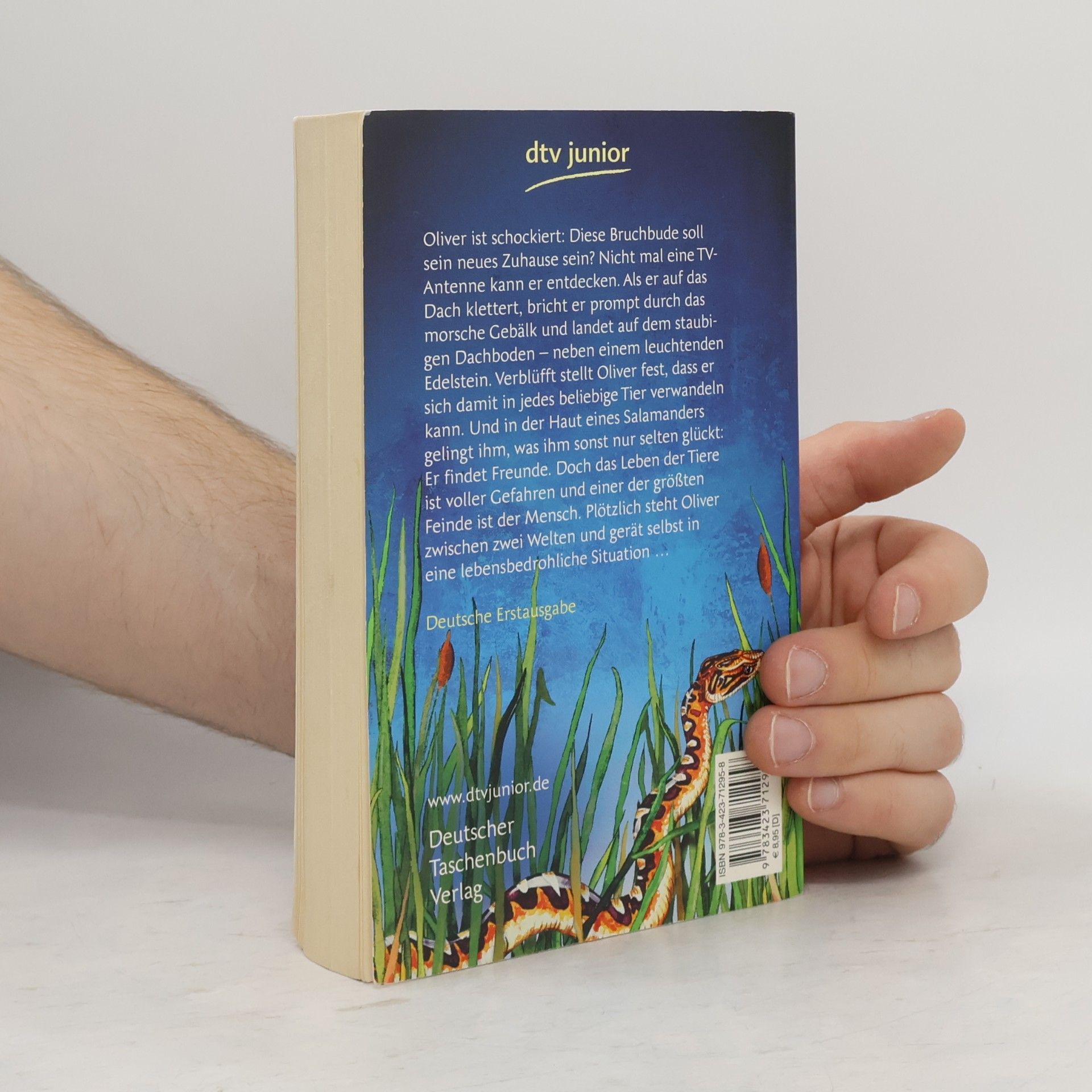Alan Silberberg Oliver und die Verschworung im Schilf