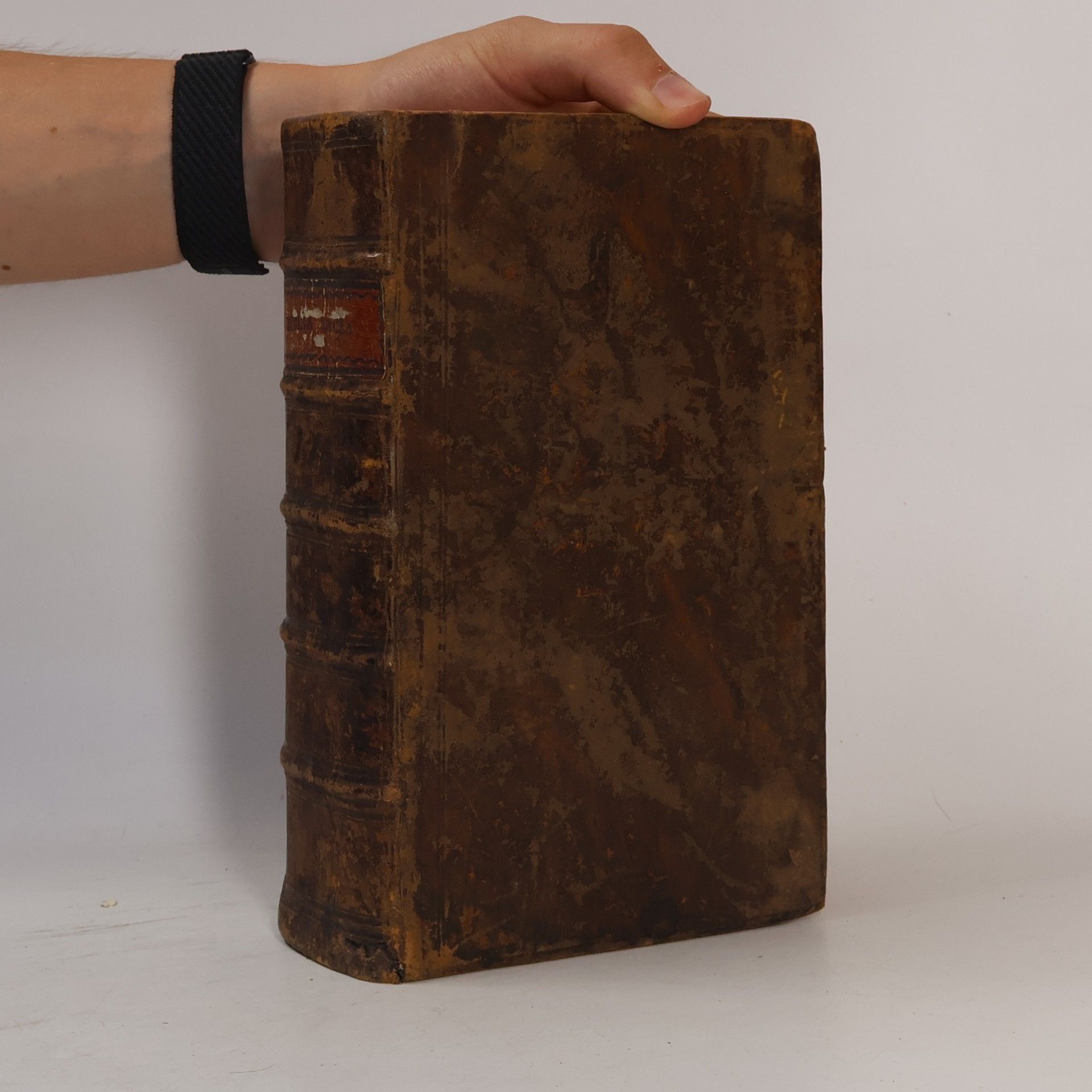 Martin Luther Die Bibel, oder die ganze Heilige Schrift des alten und neuen Testaments