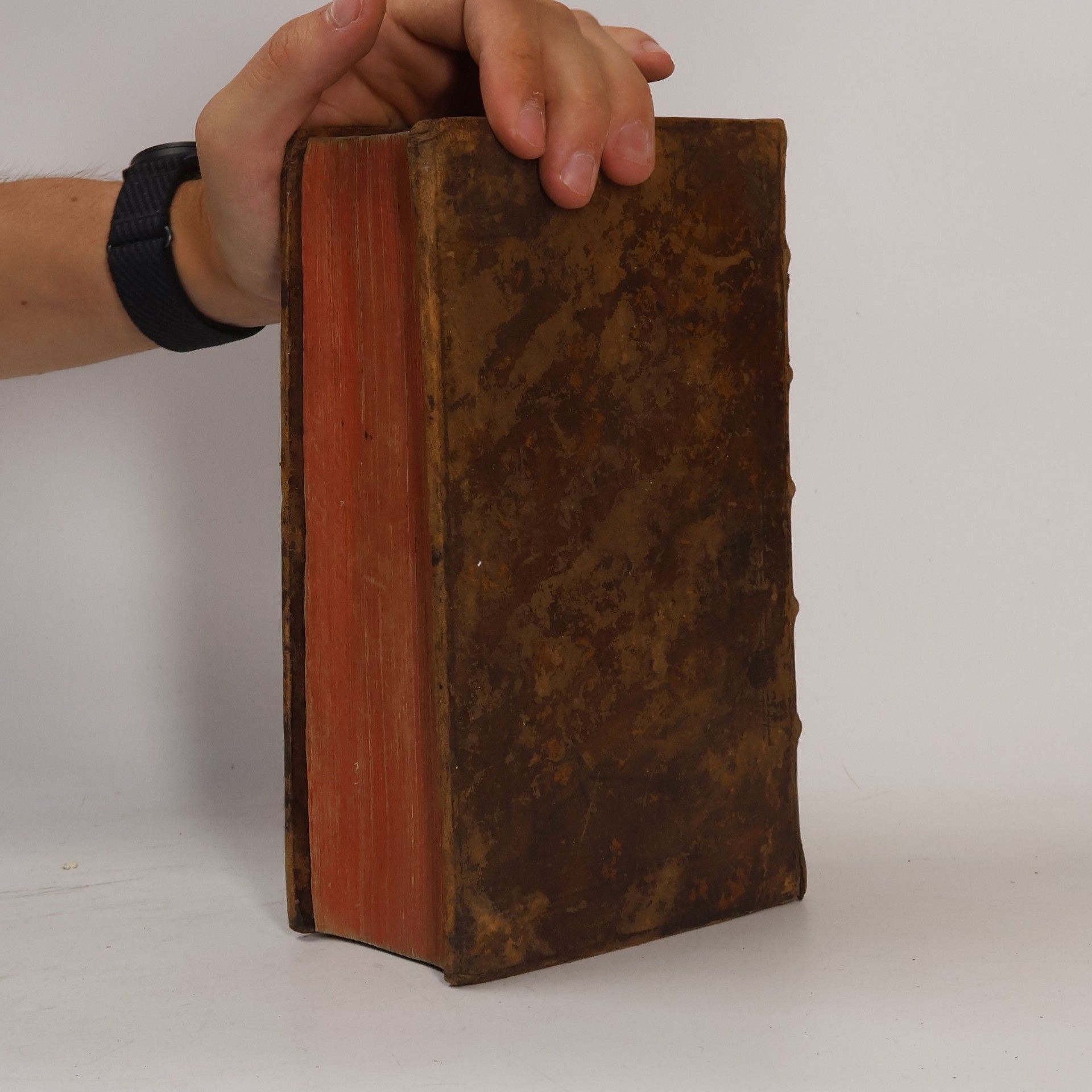 Martin Luther Die Bibel, oder die ganze Heilige Schrift des alten und neuen Testaments