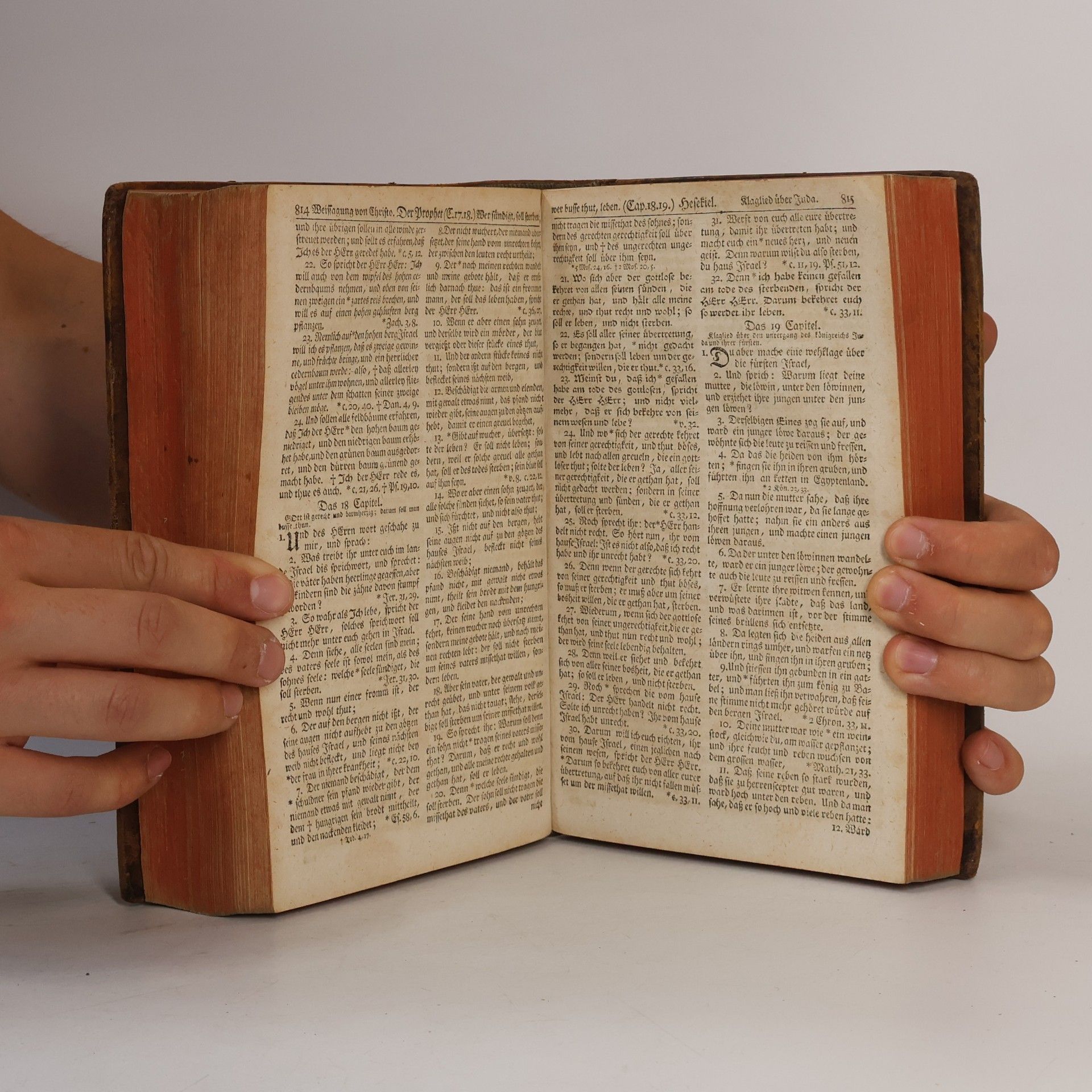 Martin Luther Die Bibel, oder die ganze Heilige Schrift des alten und neuen Testaments