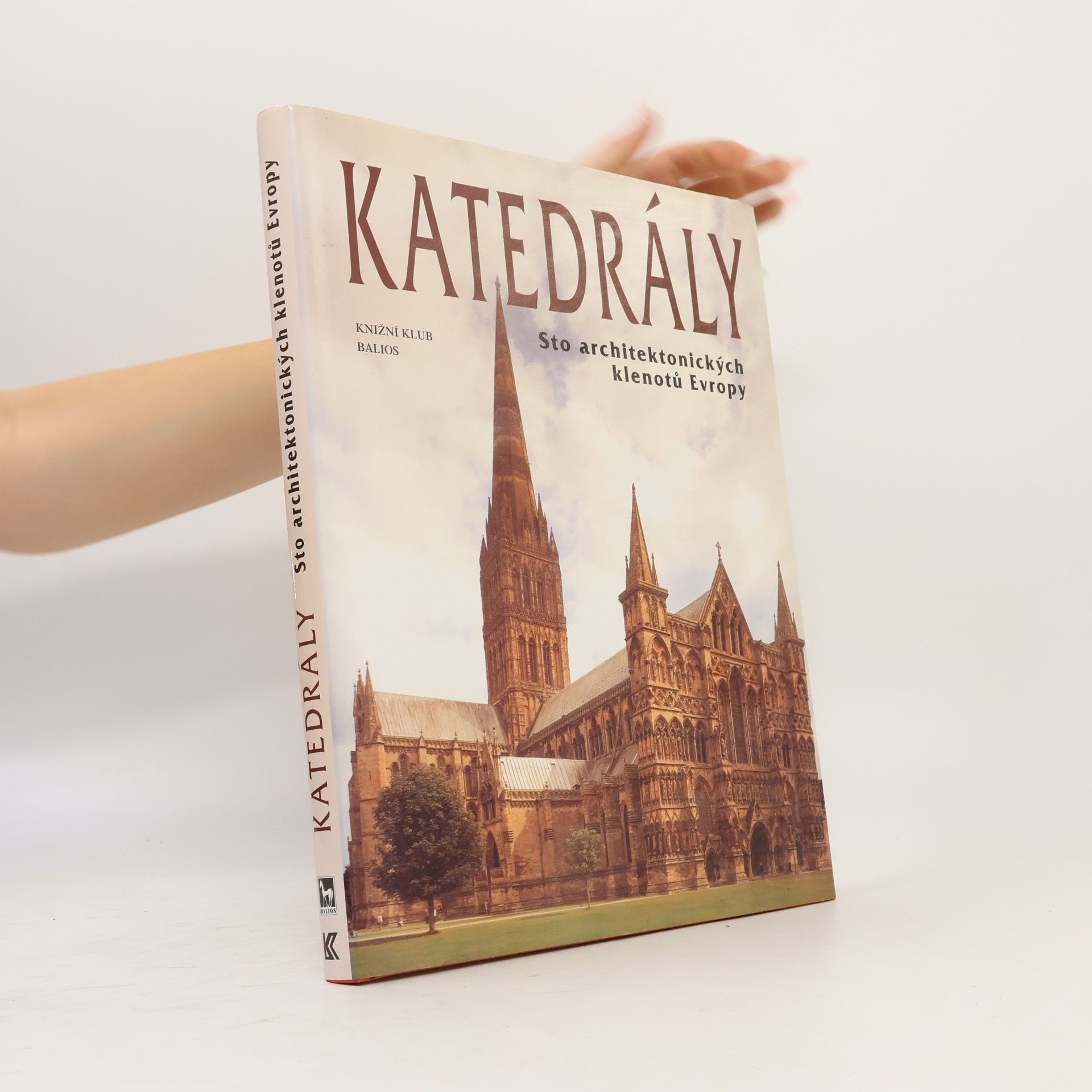Kolektiv autorů Katedrály : sto architektonických klenotů Evropy