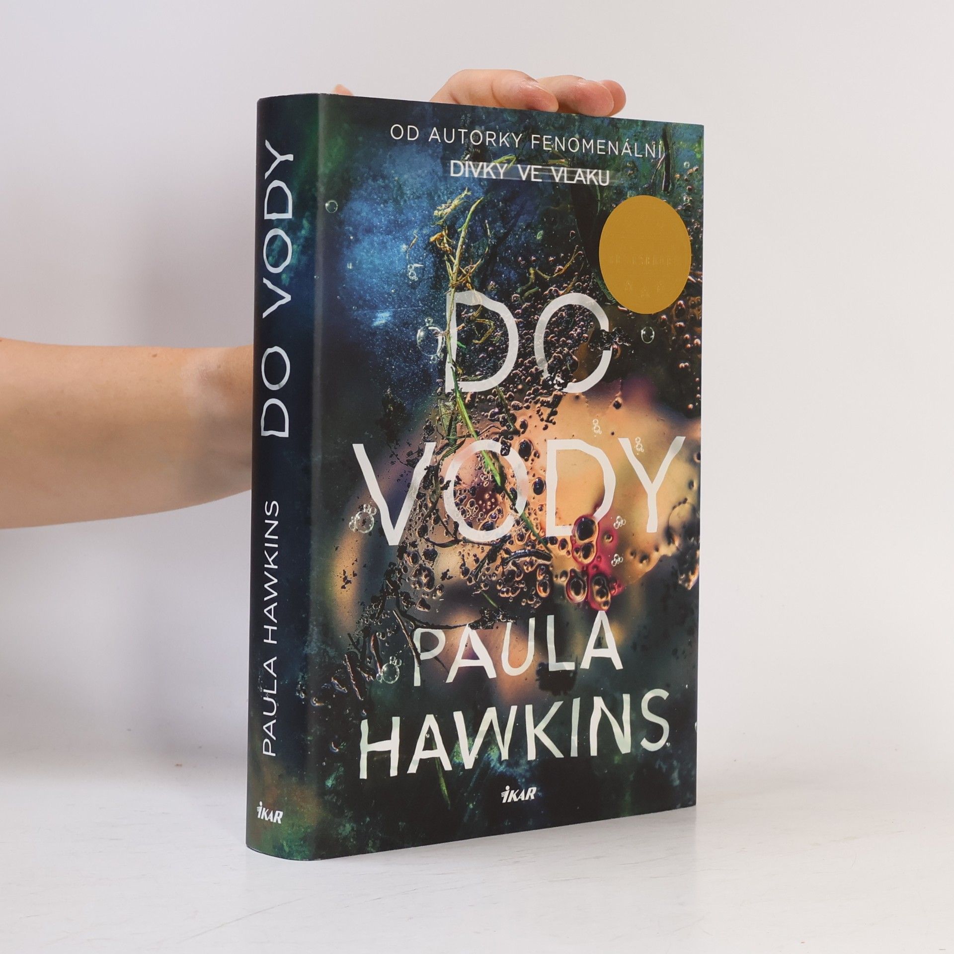 Paula Hawkins Do vody