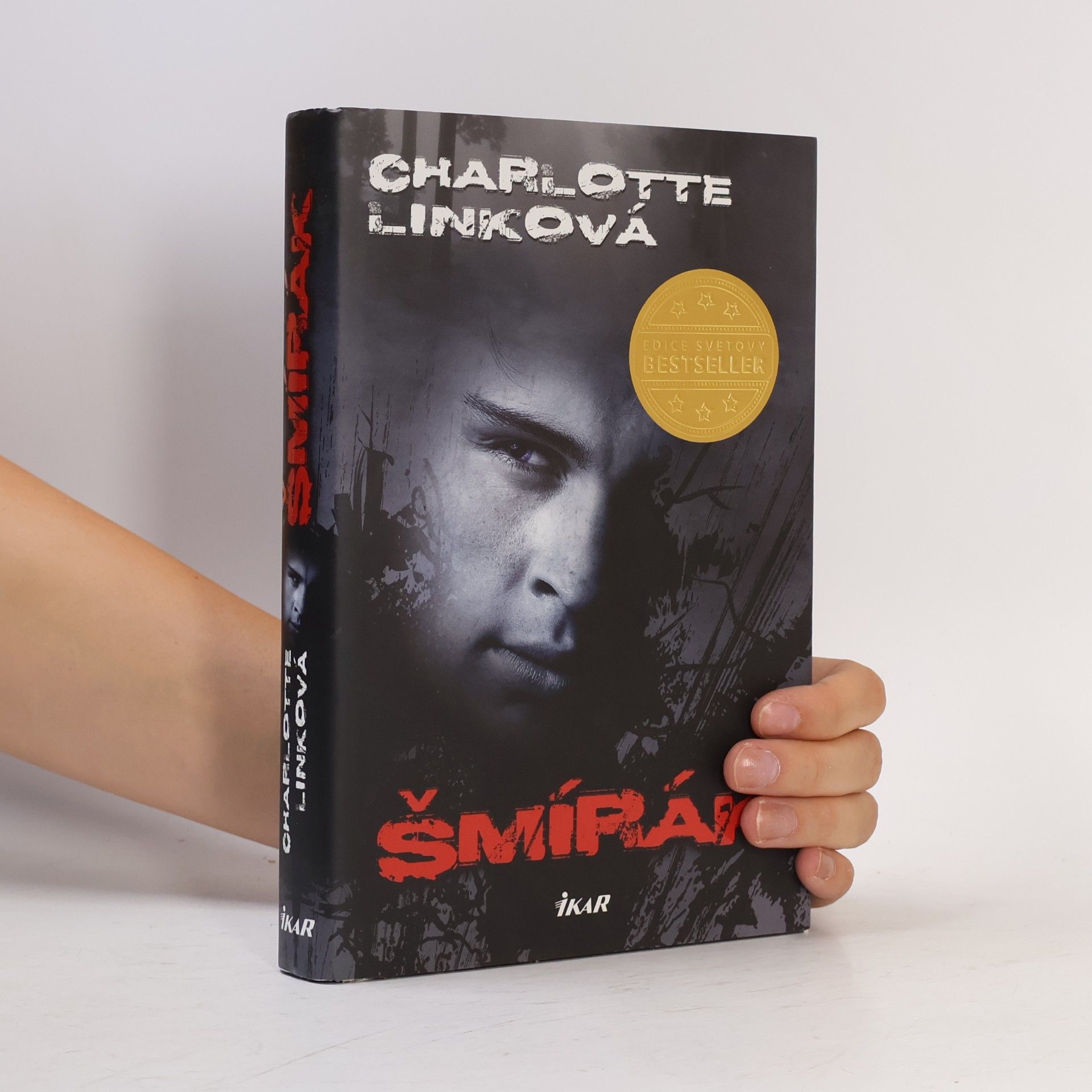 Charlotte Link Šmírák