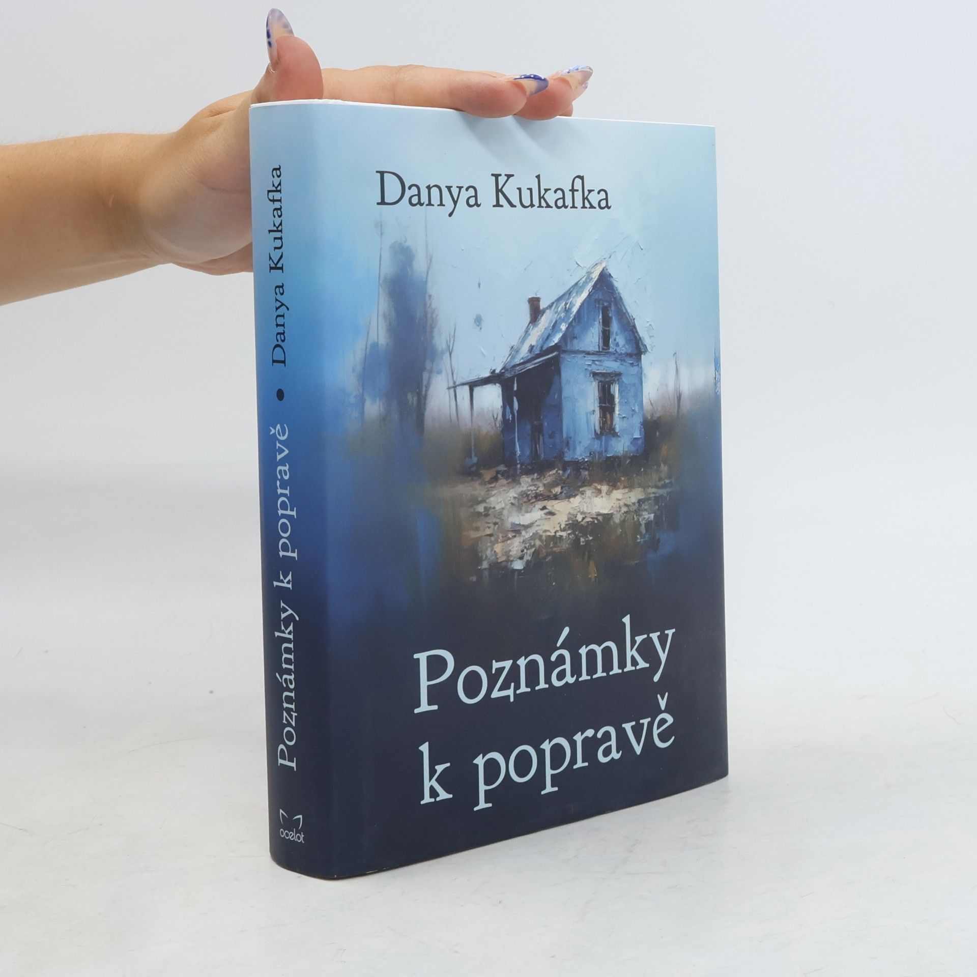 Danya Kukafka Poznámky k popravě
