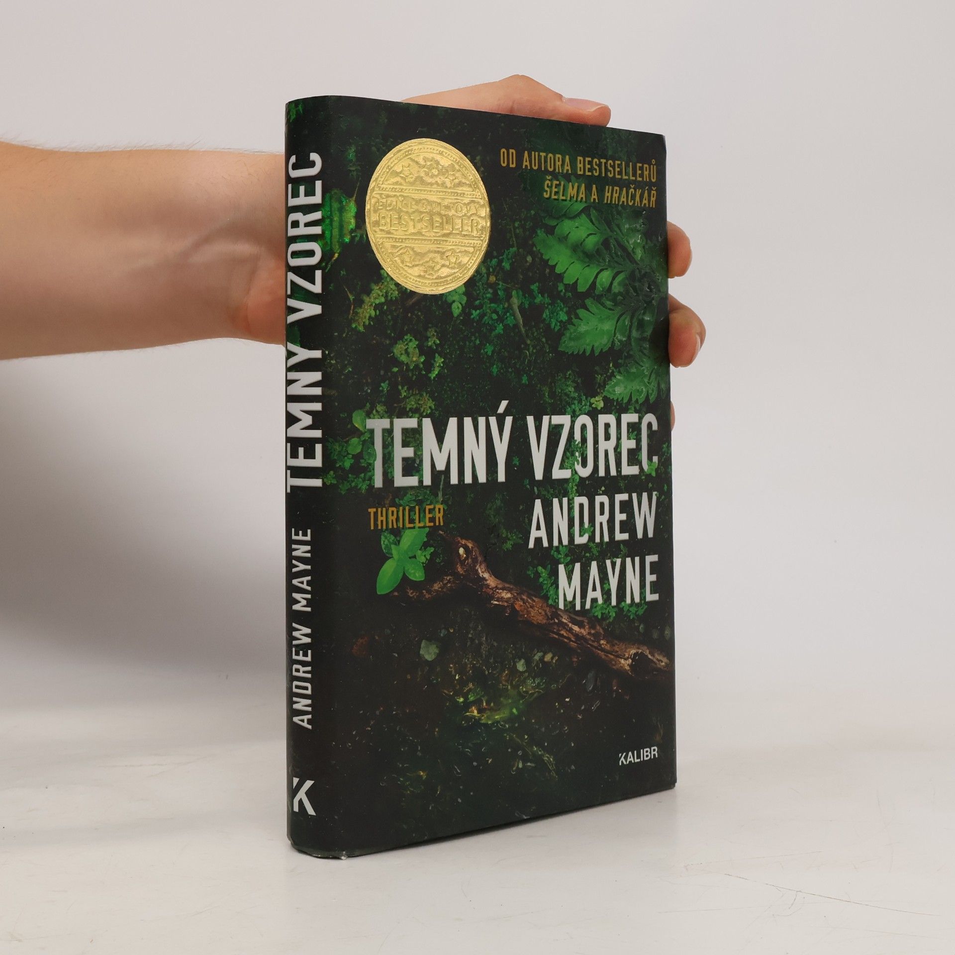 Andrew Mayne Temný vzorec