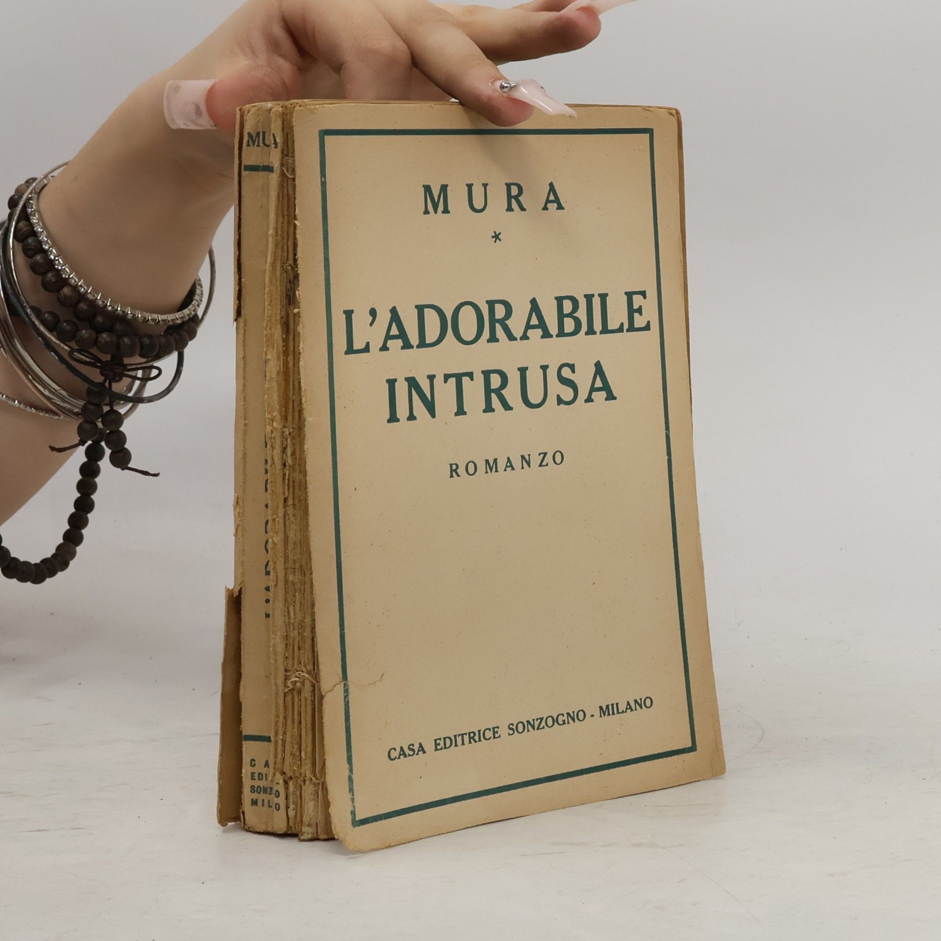 Mura L'adorabile intrusa