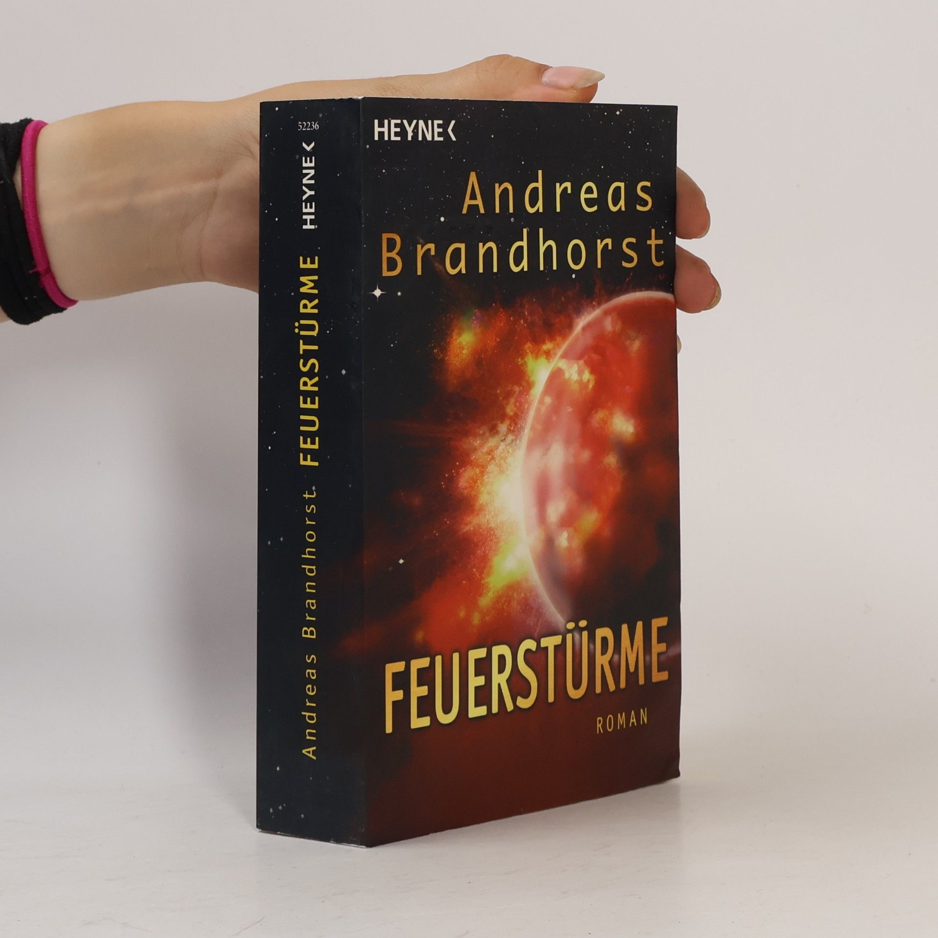 Andreas Brandhorst Feuerstnrme