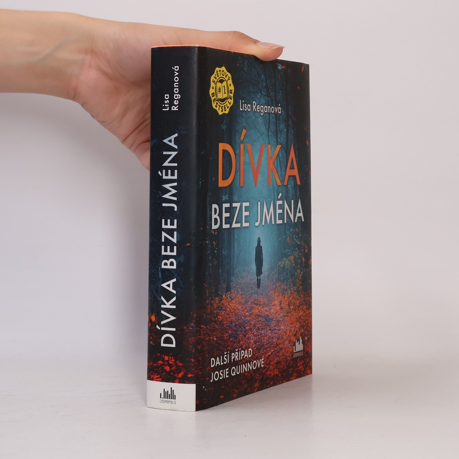 Lisa Regan Dívka beze jména: Další případ Josie Quinnové