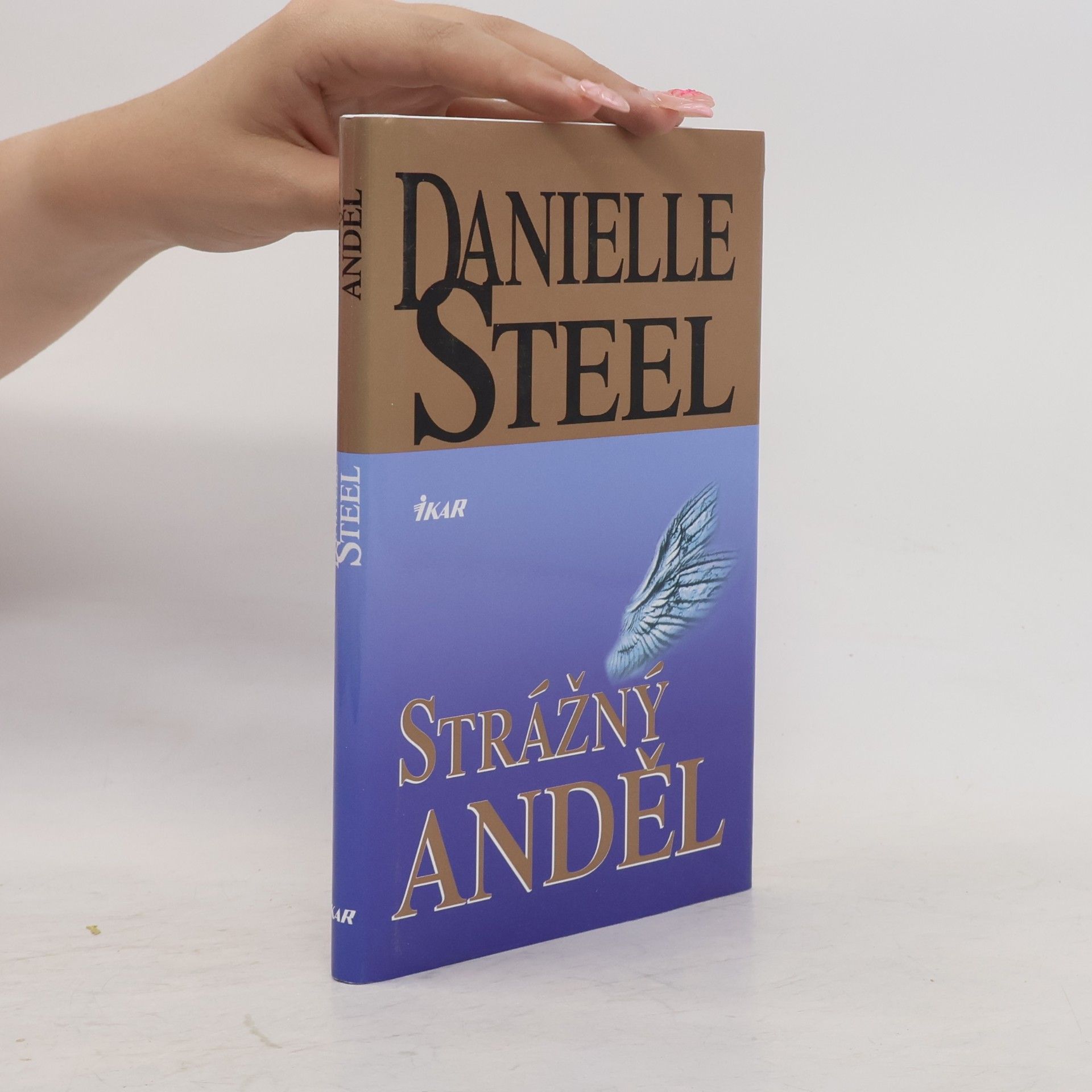 Danielle Steel Strážný anděl