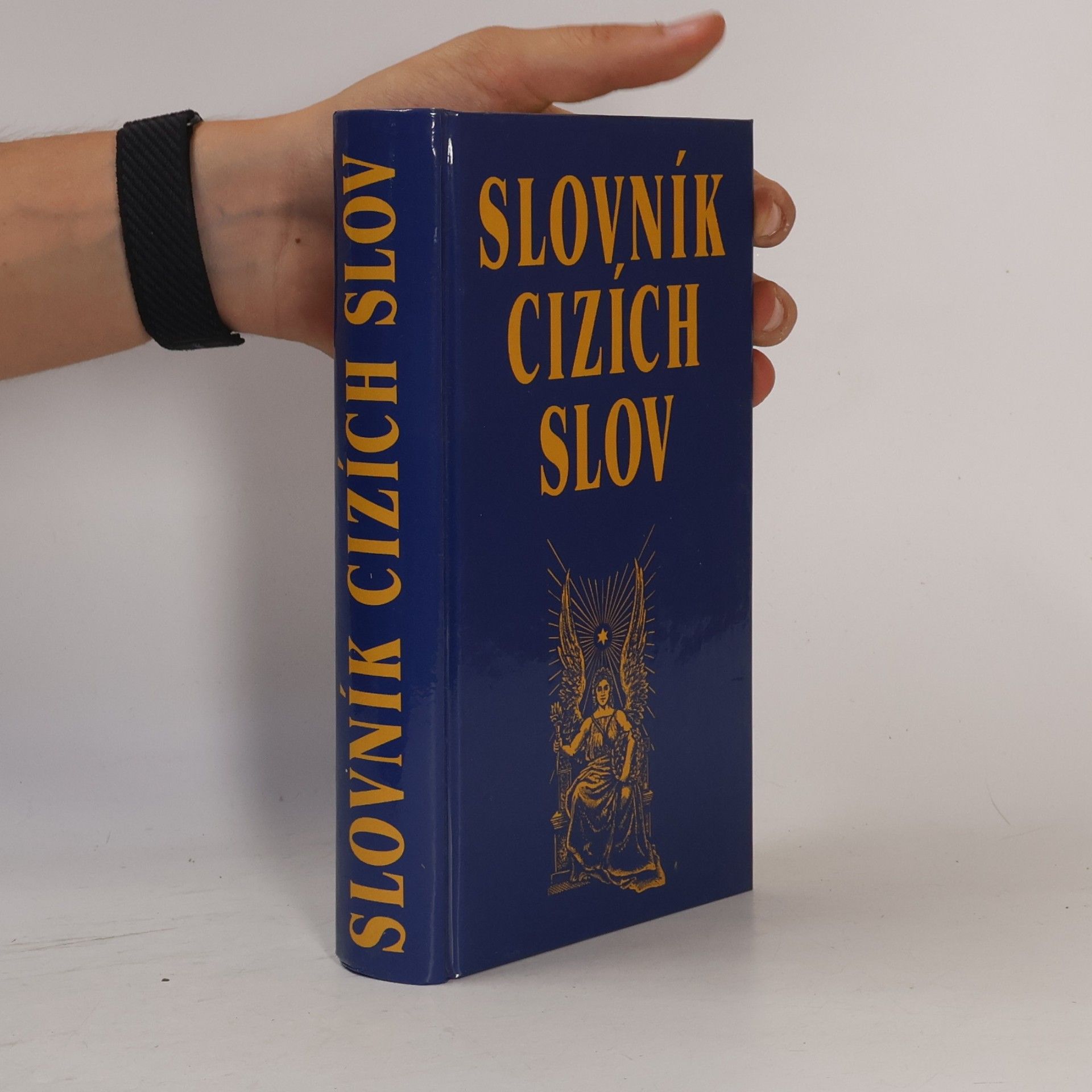 Autorenkollektiv Slovník cizích slov