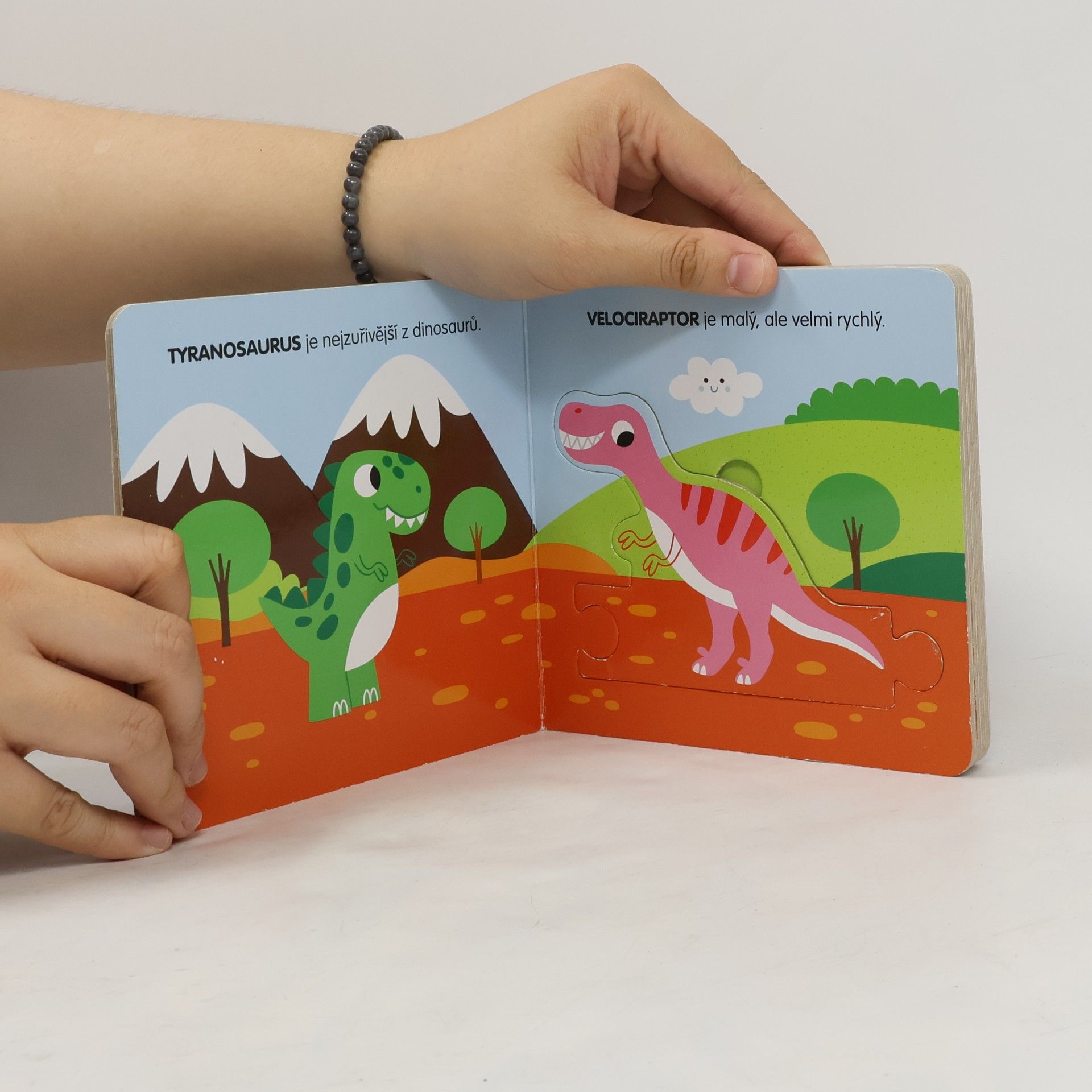 Beatrice Tinarelli Dinosauři - Knížka s puzzle