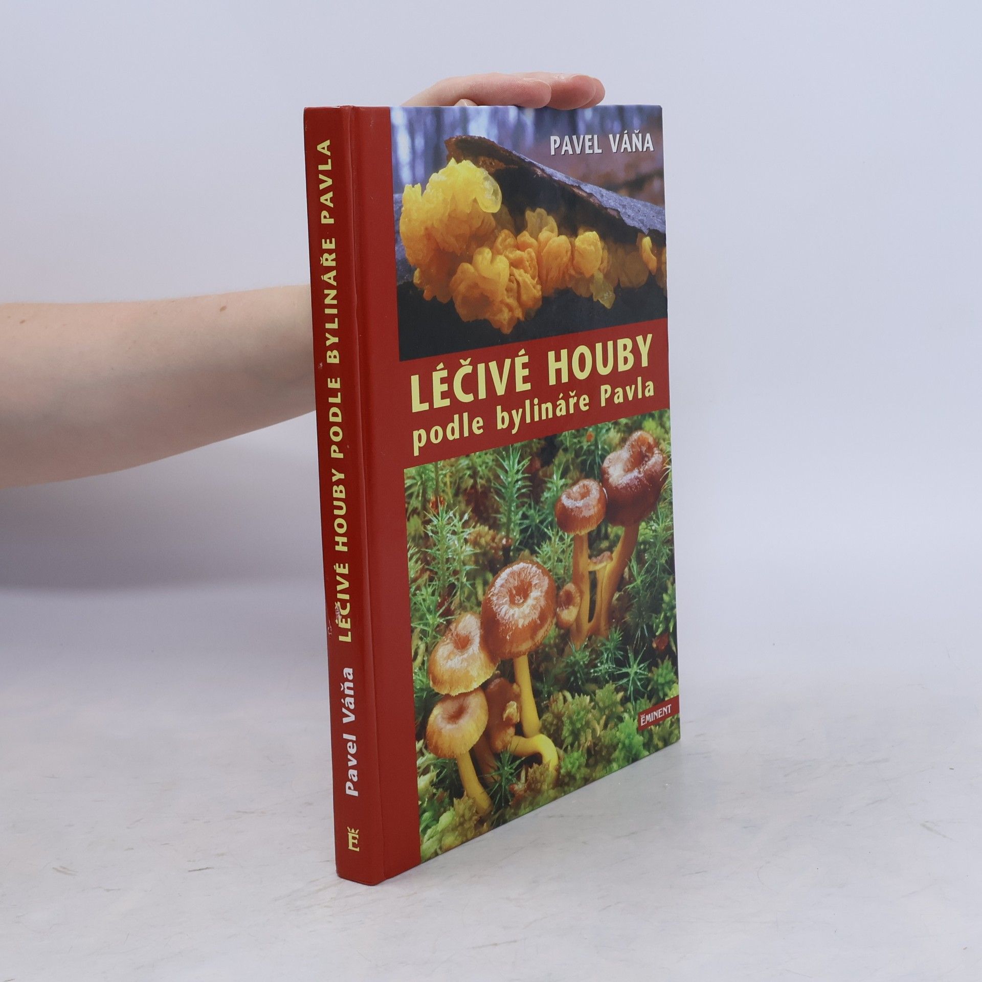 Léčivé houby podle bylináře Pavla