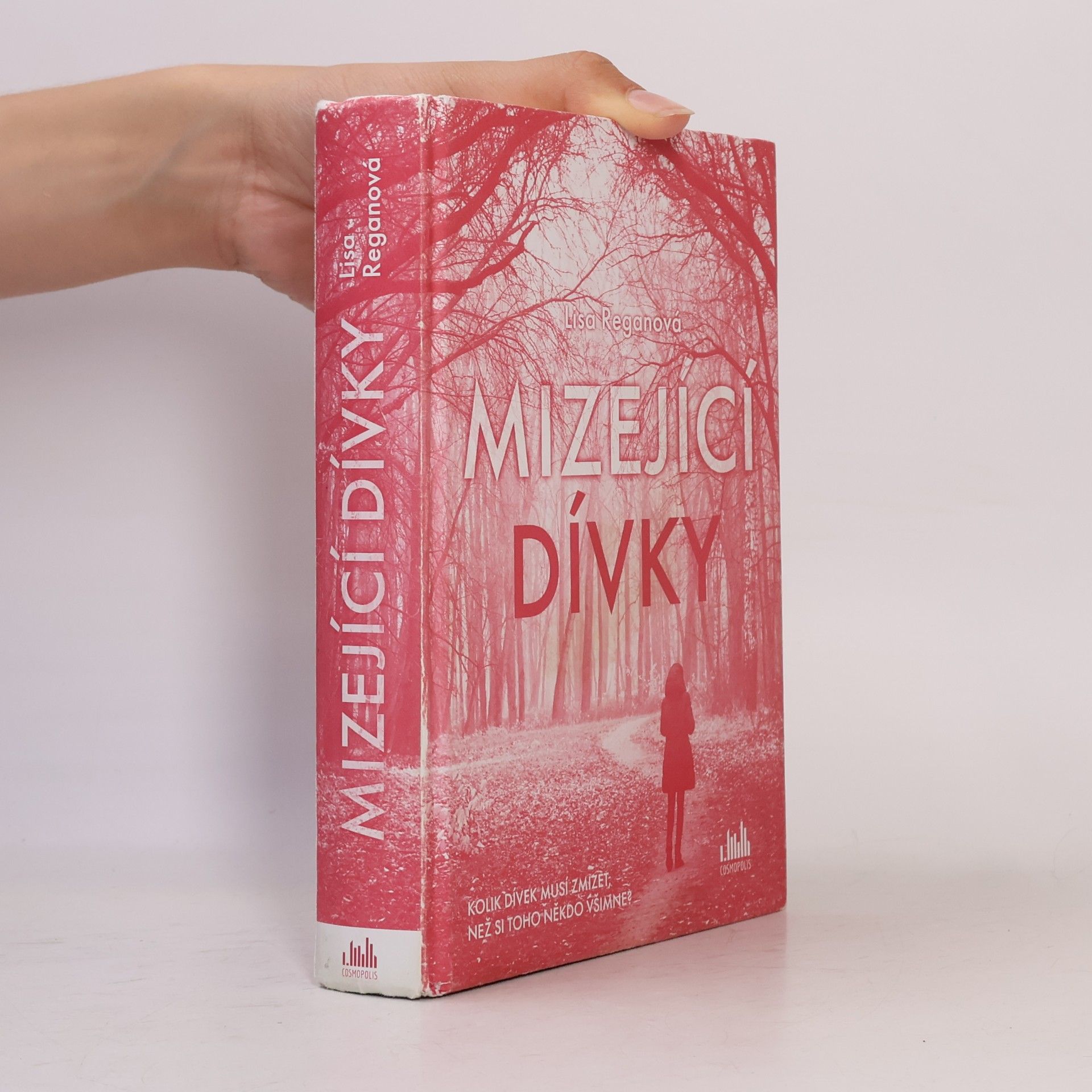 Lisa Regan Mizející dívky