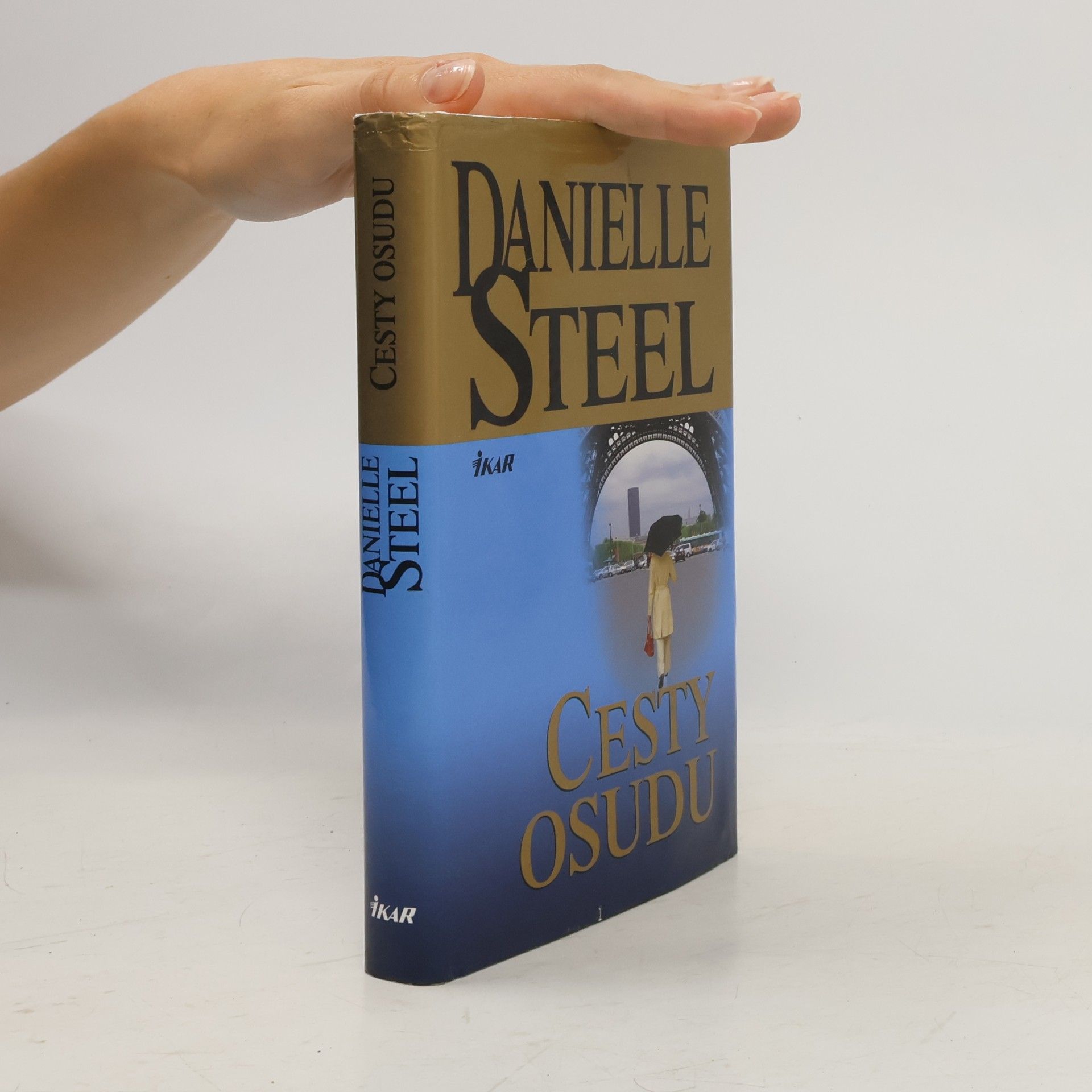 Danielle Steel Cesty osudu