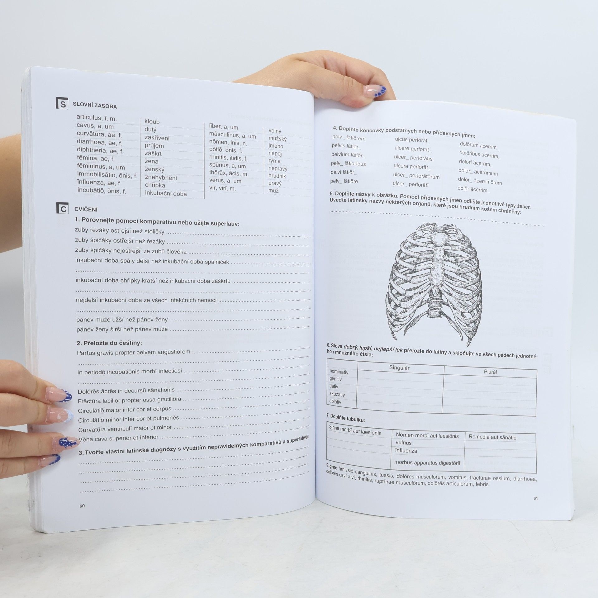 Vlasta Seinerová Latina Úvod do latinské terminologie. Pro střední školy se zdravotnickým zaměřením