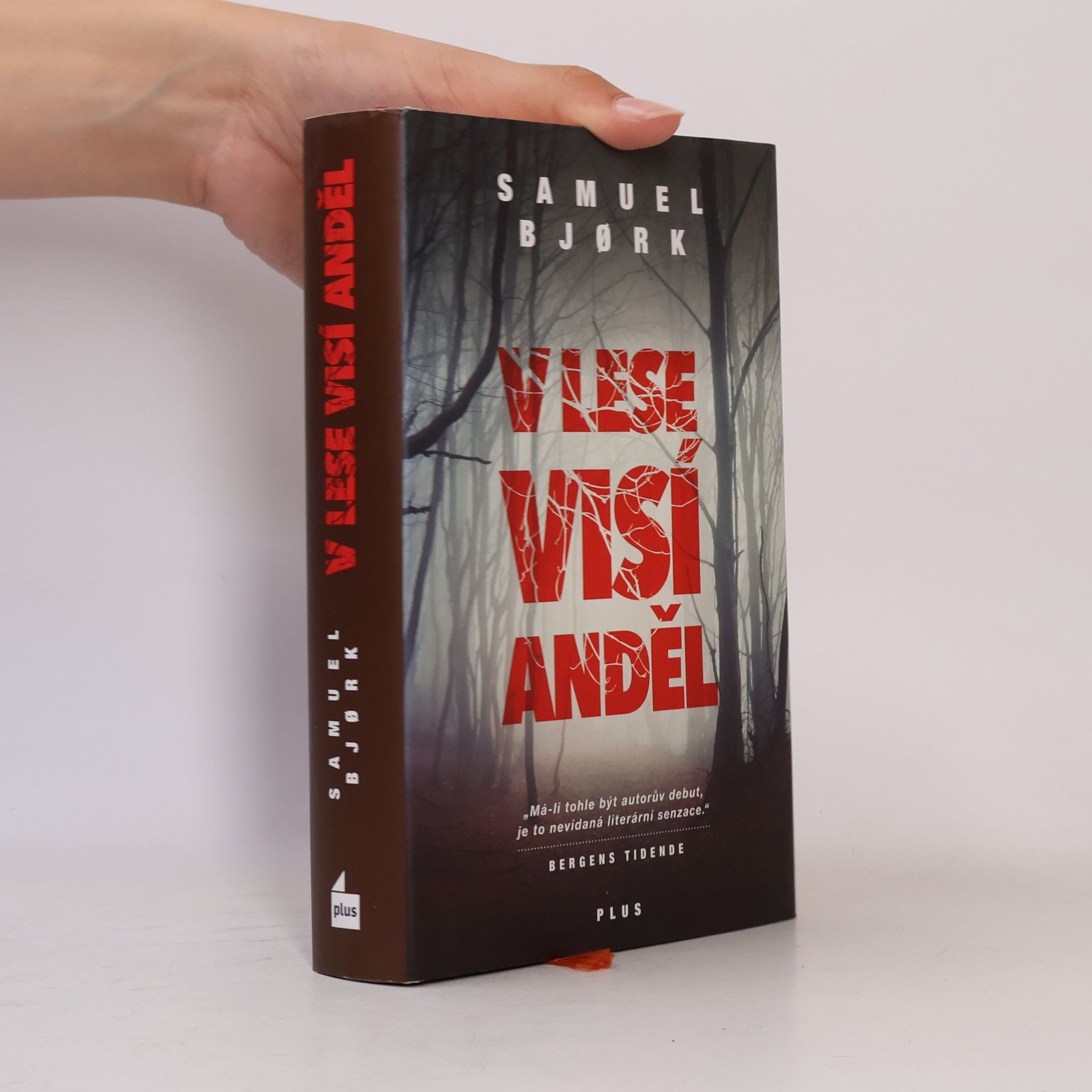 Samuel Bjork V lese visí anděl