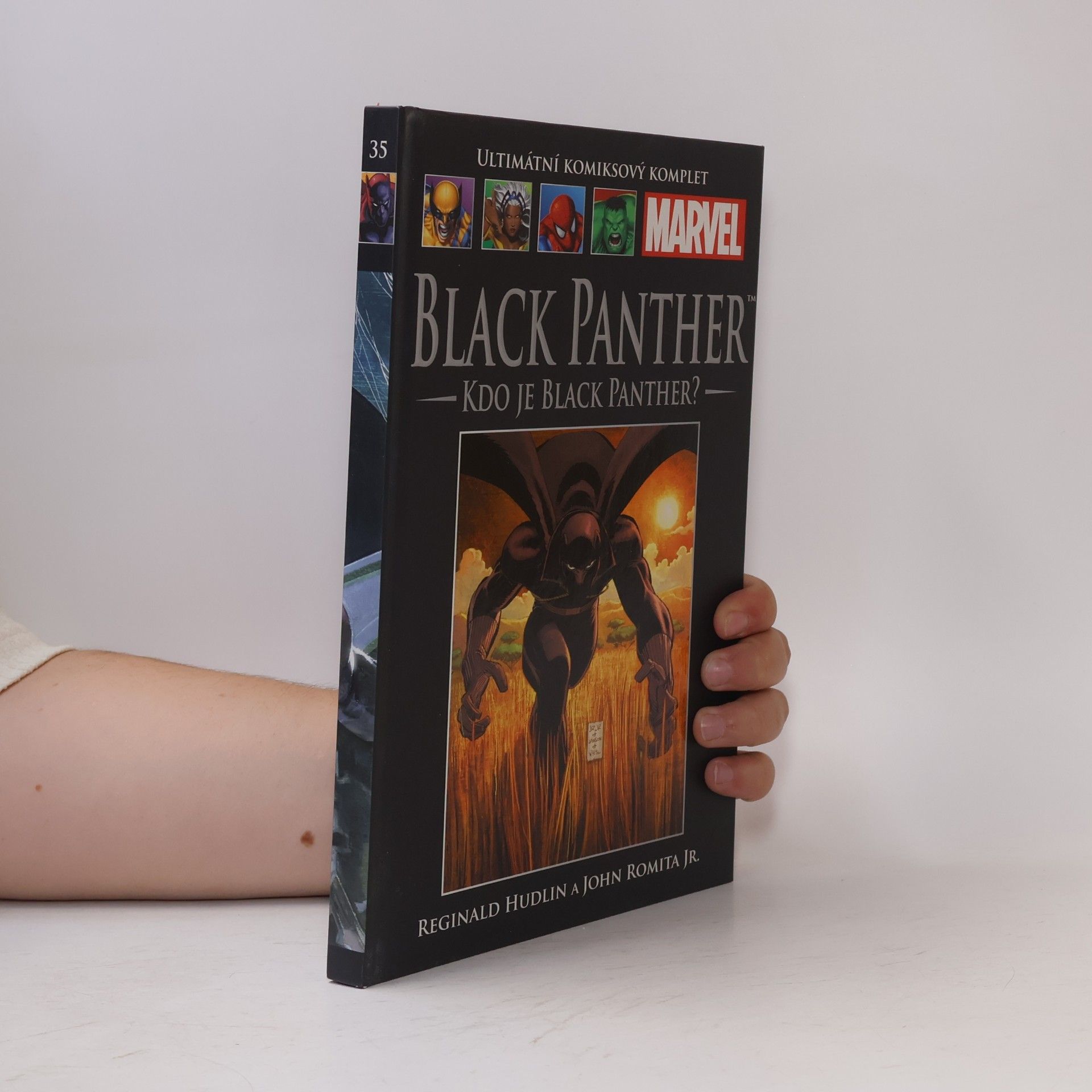 Reginald Hudlin Black Panther. Kdo je Black Panther?